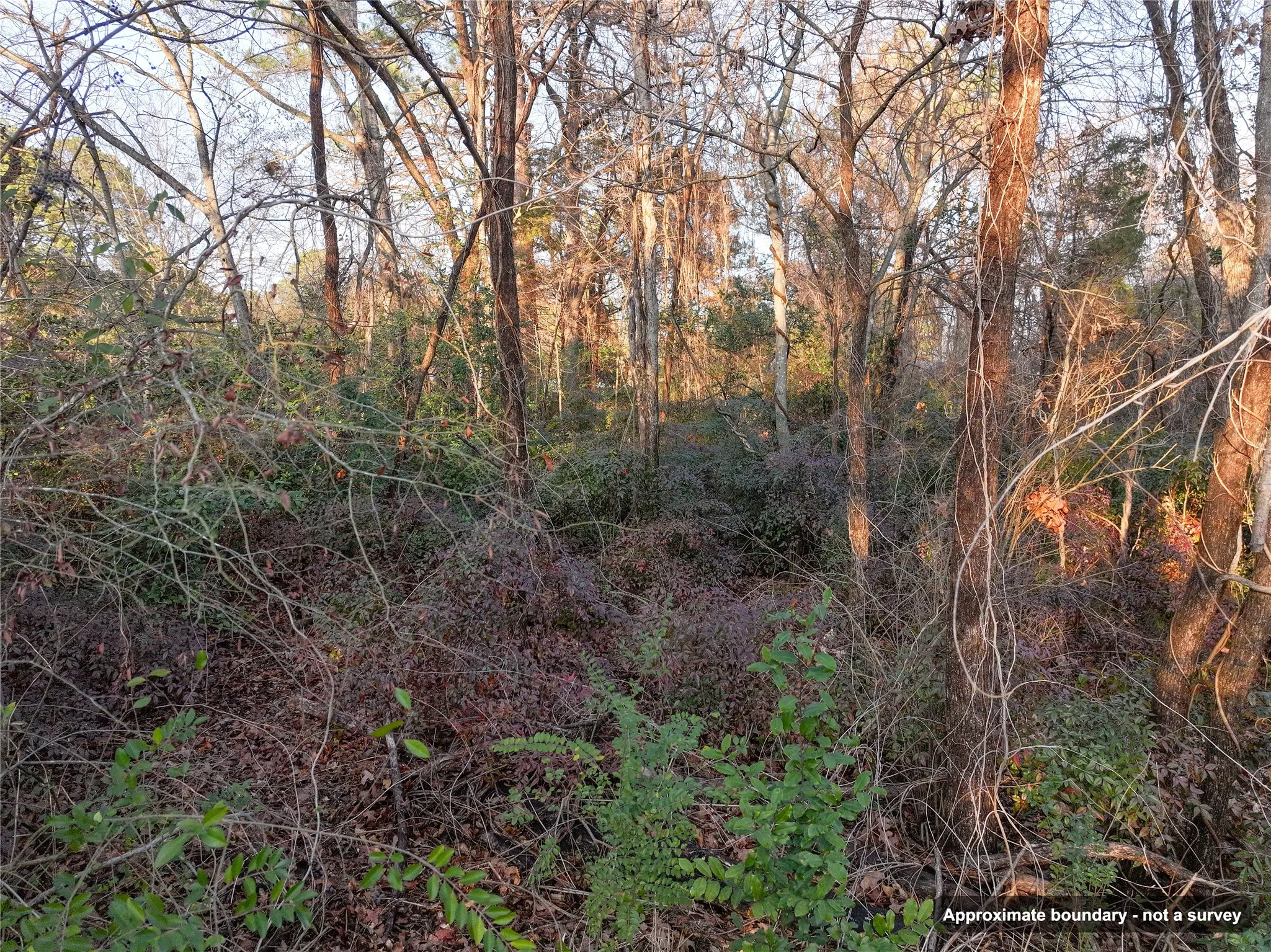Ranch For Sale in Wood County , 144 Circle Drive, Quitman, Texas 75783, 0, 0, Garage spaces, 0 Sqft, built in 0, mls#21391170, Real Estate Agent in Quitman, Homes For Sale in Wood county, Homes For Sale in Quitman, Realtor in Quitman Texas, Real Estate Brokerage Independent Realty Texas, Luminita Cordes Realtor