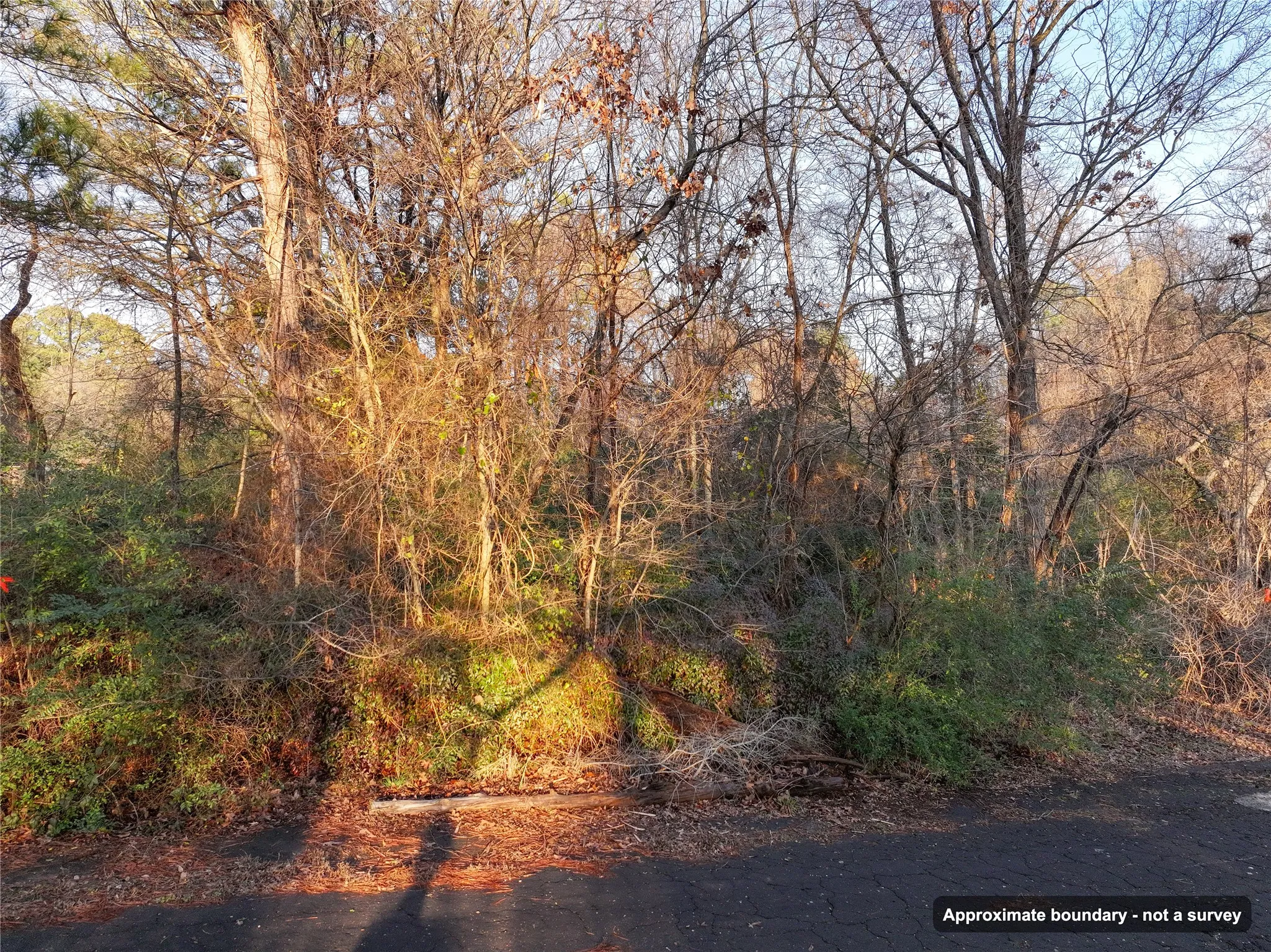 Ranch For Sale in Wood County , 144 Circle Drive, Quitman, Texas 75783, 0, 0, Garage spaces, 0 Sqft, built in 0, mls#21391170, Real Estate Agent in Quitman, Homes For Sale in Wood county, Homes For Sale in Quitman, Realtor in Quitman Texas, Real Estate Brokerage Independent Realty Texas, Luminita Cordes Realtor