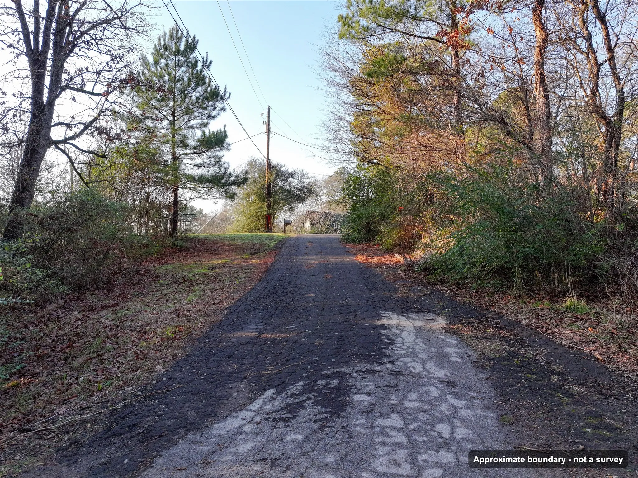 Ranch For Sale in Wood County , 144 Circle Drive, Quitman, Texas 75783, 0, 0, Garage spaces, 0 Sqft, built in 0, mls#21391170, Real Estate Agent in Quitman, Homes For Sale in Wood county, Homes For Sale in Quitman, Realtor in Quitman Texas, Real Estate Brokerage Independent Realty Texas, Luminita Cordes Realtor