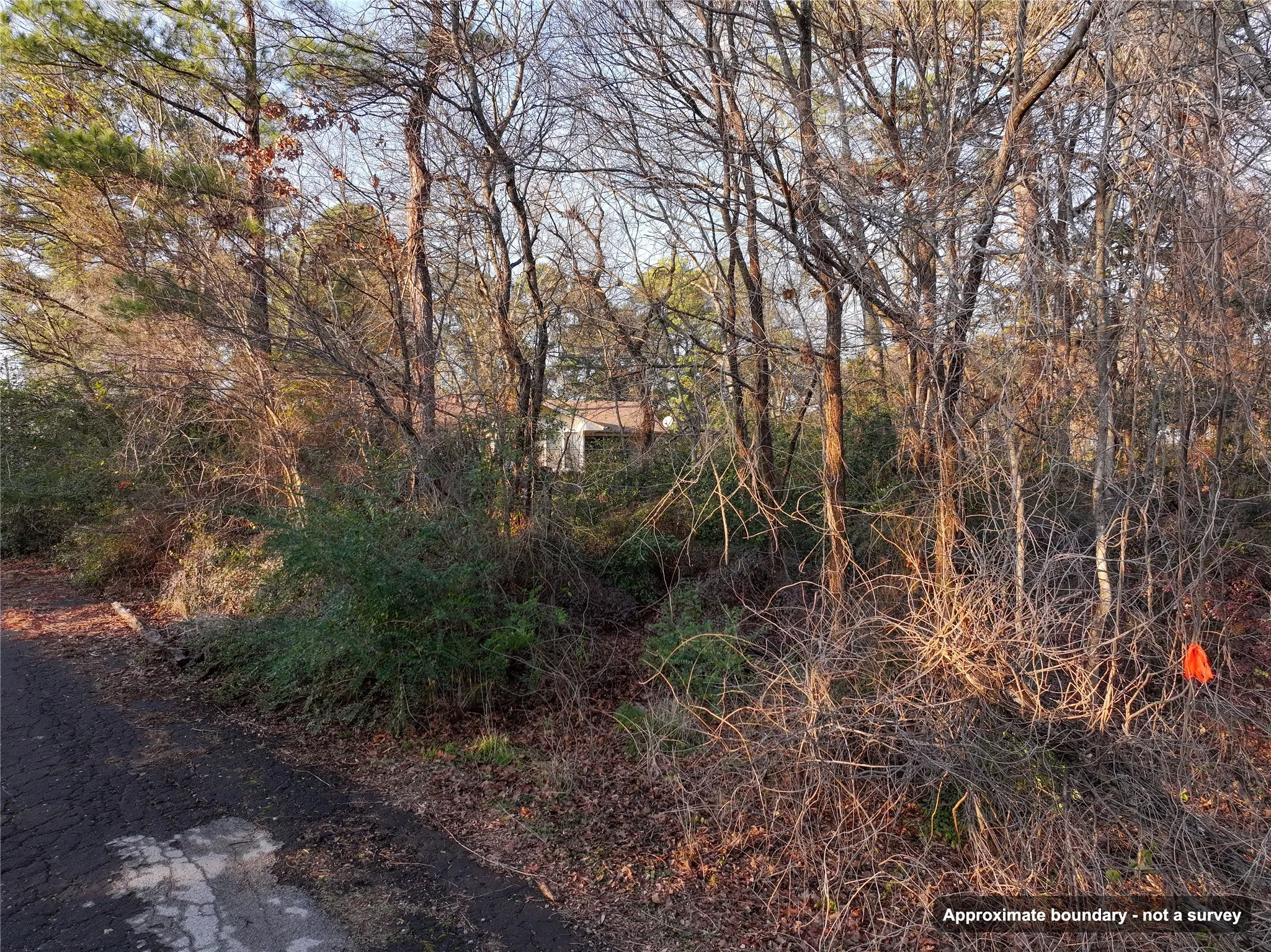 Ranch For Sale in Wood County , 144 Circle Drive, Quitman, Texas 75783, 0, 0, Garage spaces, 0 Sqft, built in 0, mls#21391170, Real Estate Agent in Quitman, Homes For Sale in Wood county, Homes For Sale in Quitman, Realtor in Quitman Texas, Real Estate Brokerage Independent Realty Texas, Luminita Cordes Realtor