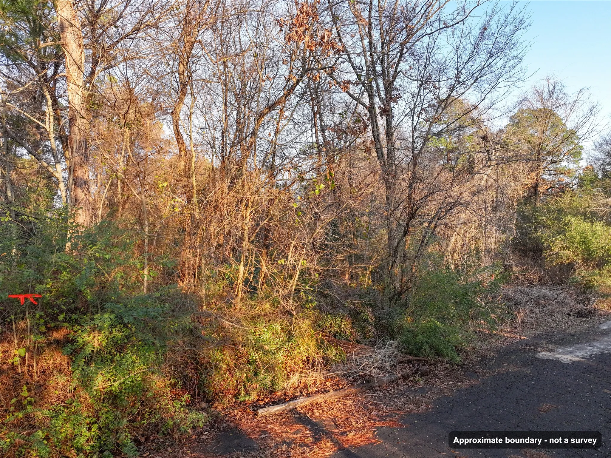 Ranch For Sale in Wood County , 144 Circle Drive, Quitman, Texas 75783, 0, 0, Garage spaces, 0 Sqft, built in 0, mls#21391170, Real Estate Agent in Quitman, Homes For Sale in Wood county, Homes For Sale in Quitman, Realtor in Quitman Texas, Real Estate Brokerage Independent Realty Texas, Luminita Cordes Realtor