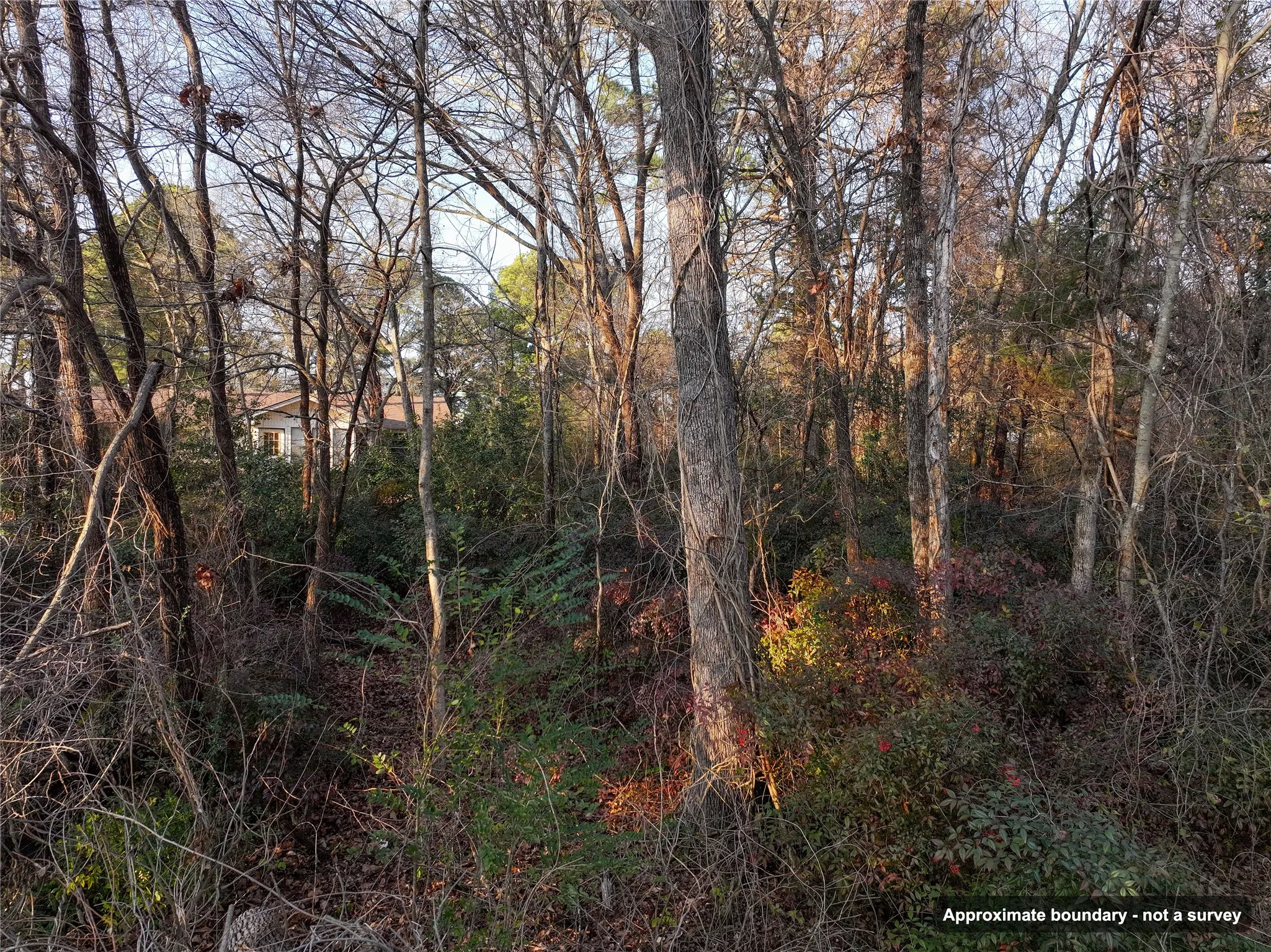 Ranch For Sale in Wood County , 144 Circle Drive, Quitman, Texas 75783, 0, 0, Garage spaces, 0 Sqft, built in 0, mls#21391170, Real Estate Agent in Quitman, Homes For Sale in Wood county, Homes For Sale in Quitman, Realtor in Quitman Texas, Real Estate Brokerage Independent Realty Texas, Luminita Cordes Realtor