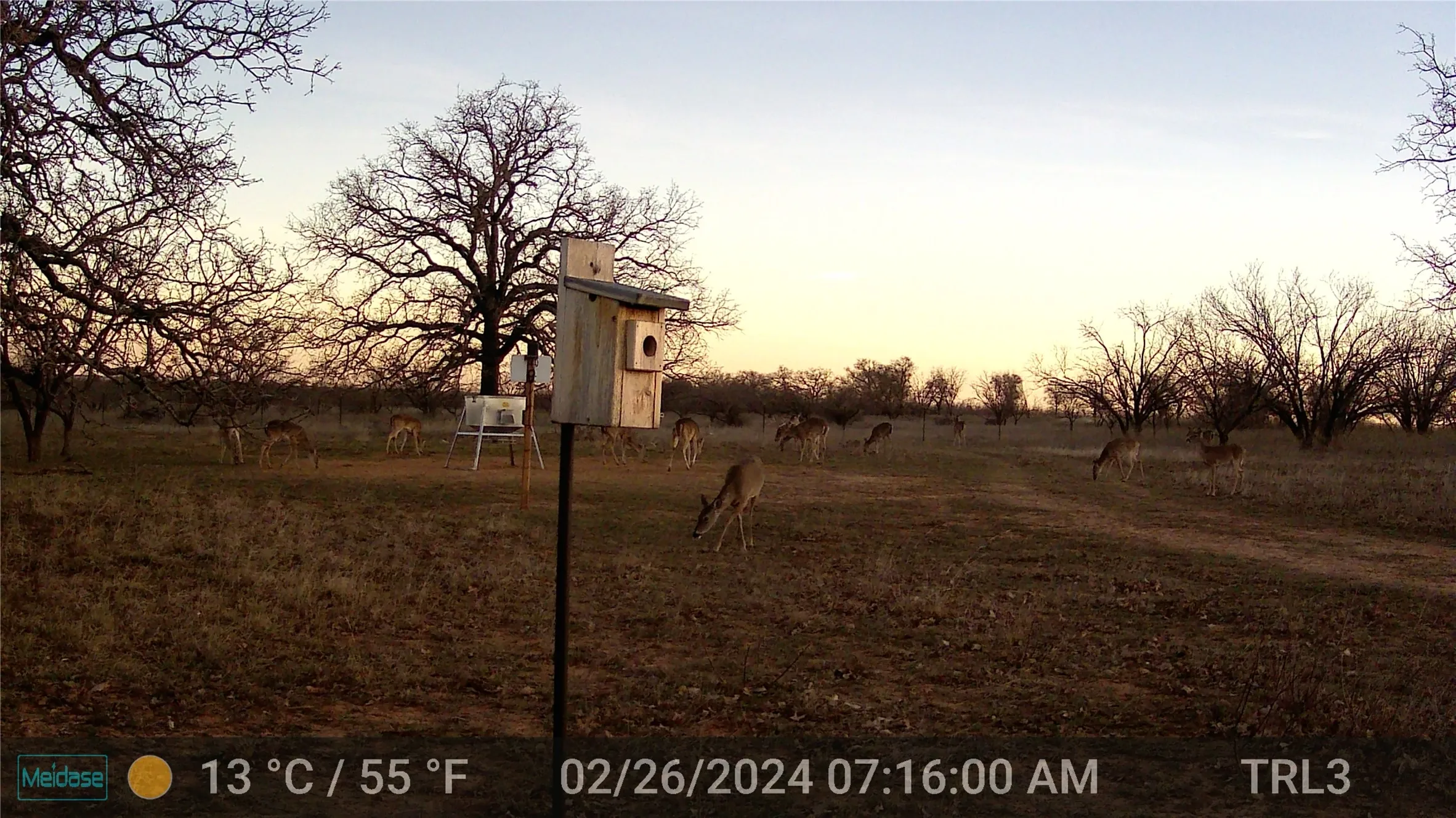 Unimproved Land For Sale in Eastland County , 384 County Road 406, Carbon, Texas 76435, 0, 0, Garage spaces, 0 Sqft, built in 0, mls#21391061, Real Estate Agent in Carbon, Homes For Sale in Eastland county, Homes For Sale in Carbon, Realtor in Carbon Texas, Real Estate Brokerage Independent Realty Texas, Luminita Cordes Realtor