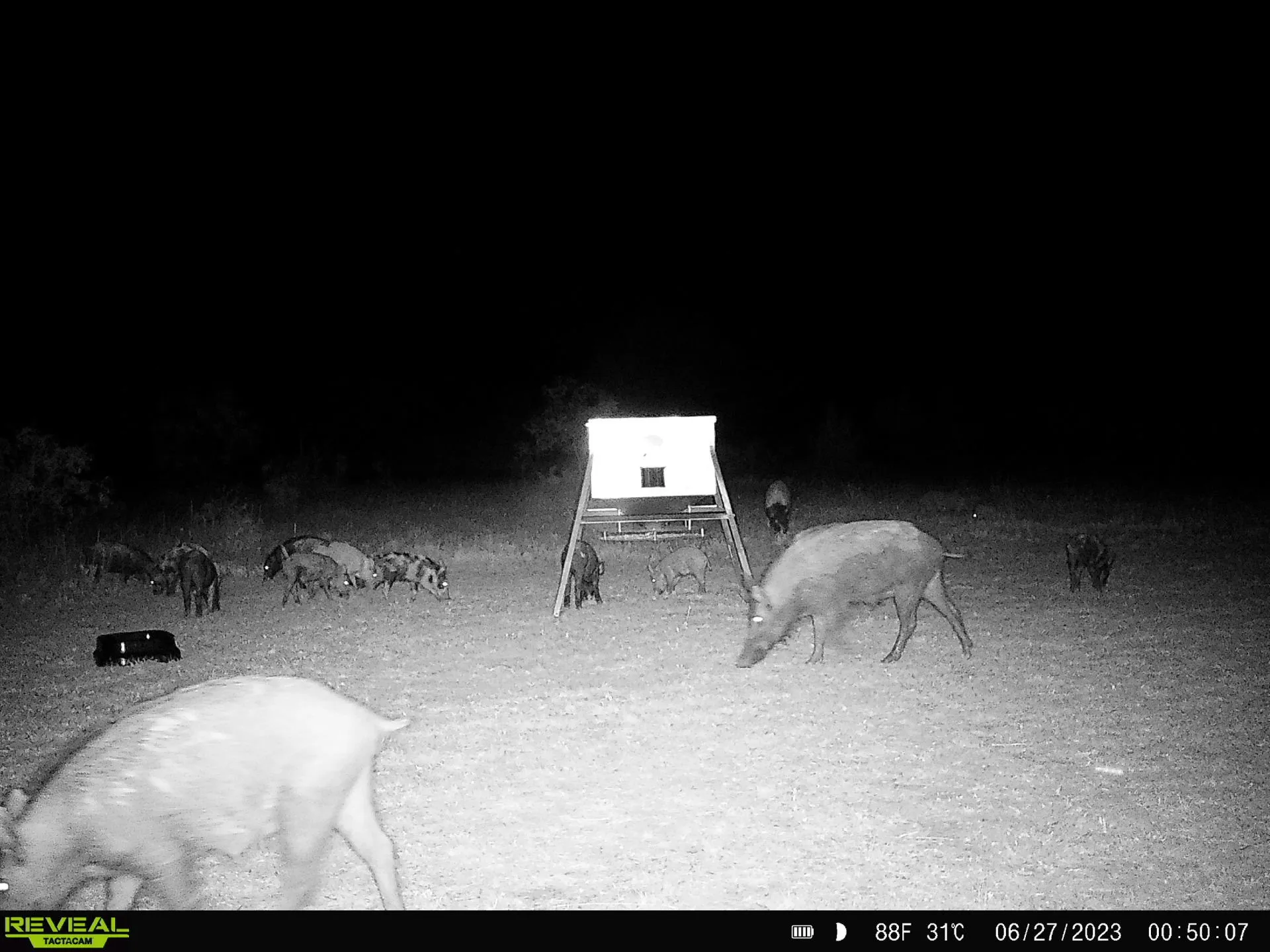 Unimproved Land For Sale in Eastland County , 384 County Road 406, Carbon, Texas 76435, 0, 0, Garage spaces, 0 Sqft, built in 0, mls#21391061, Real Estate Agent in Carbon, Homes For Sale in Eastland county, Homes For Sale in Carbon, Realtor in Carbon Texas, Real Estate Brokerage Independent Realty Texas, Luminita Cordes Realtor