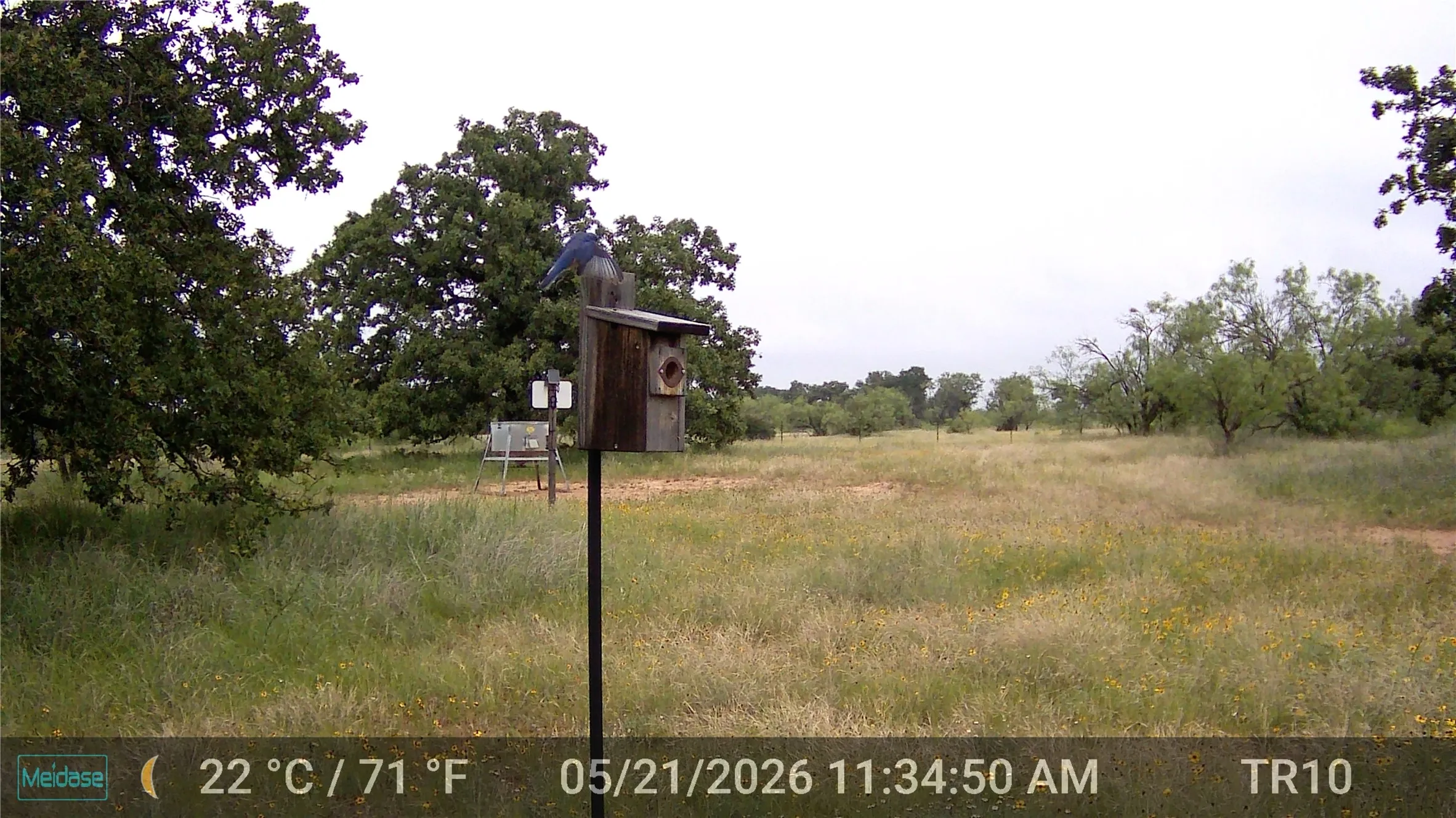 Unimproved Land For Sale in Eastland County , 384 County Road 406, Carbon, Texas 76435, 0, 0, Garage spaces, 0 Sqft, built in 0, mls#21391061, Real Estate Agent in Carbon, Homes For Sale in Eastland county, Homes For Sale in Carbon, Realtor in Carbon Texas, Real Estate Brokerage Independent Realty Texas, Luminita Cordes Realtor