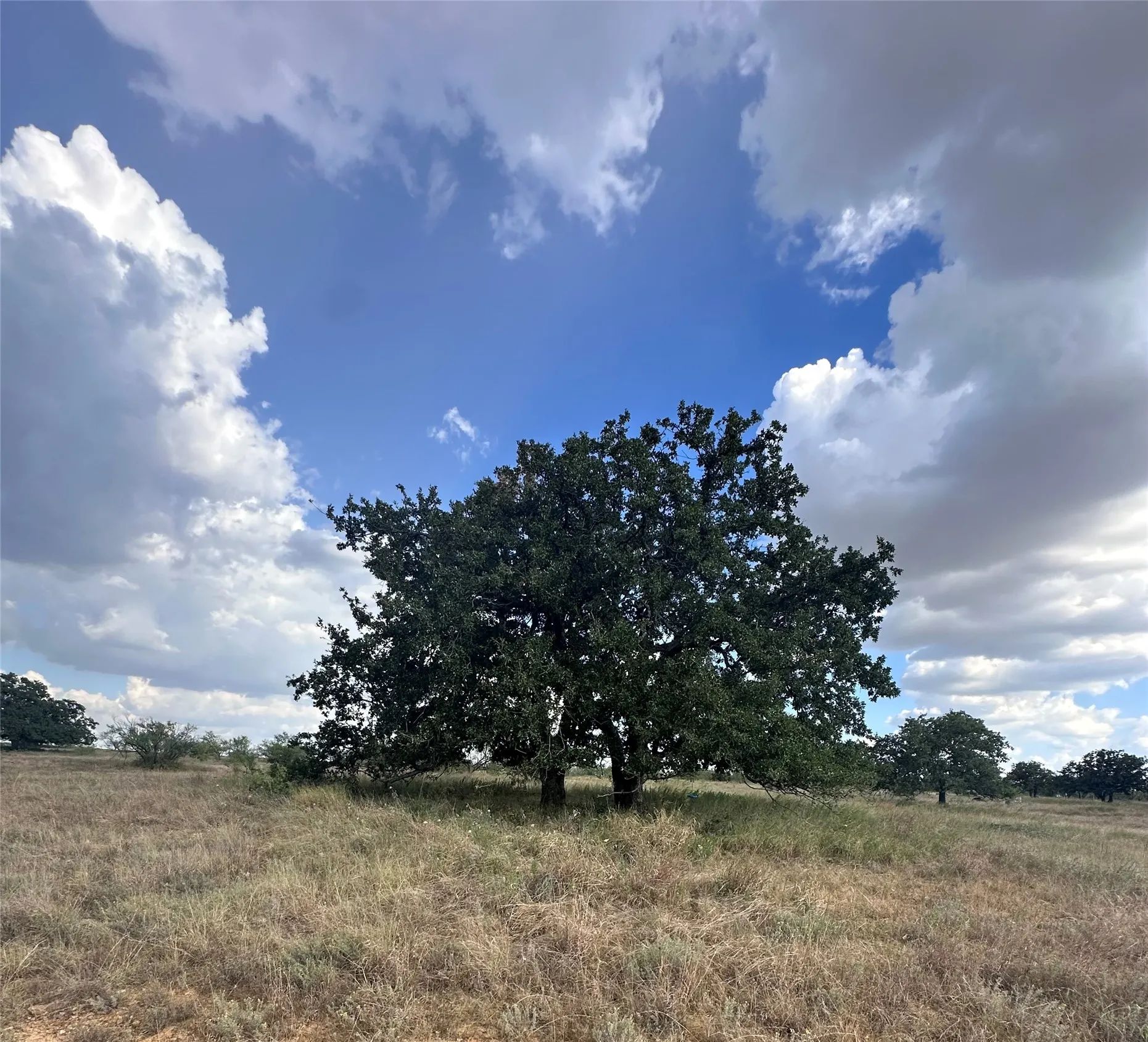 Unimproved Land For Sale in Eastland County , 384 County Road 406, Carbon, Texas 76435, 0, 0, Garage spaces, 0 Sqft, built in 0, mls#21391061, Real Estate Agent in Carbon, Homes For Sale in Eastland county, Homes For Sale in Carbon, Realtor in Carbon Texas, Real Estate Brokerage Independent Realty Texas, Luminita Cordes Realtor