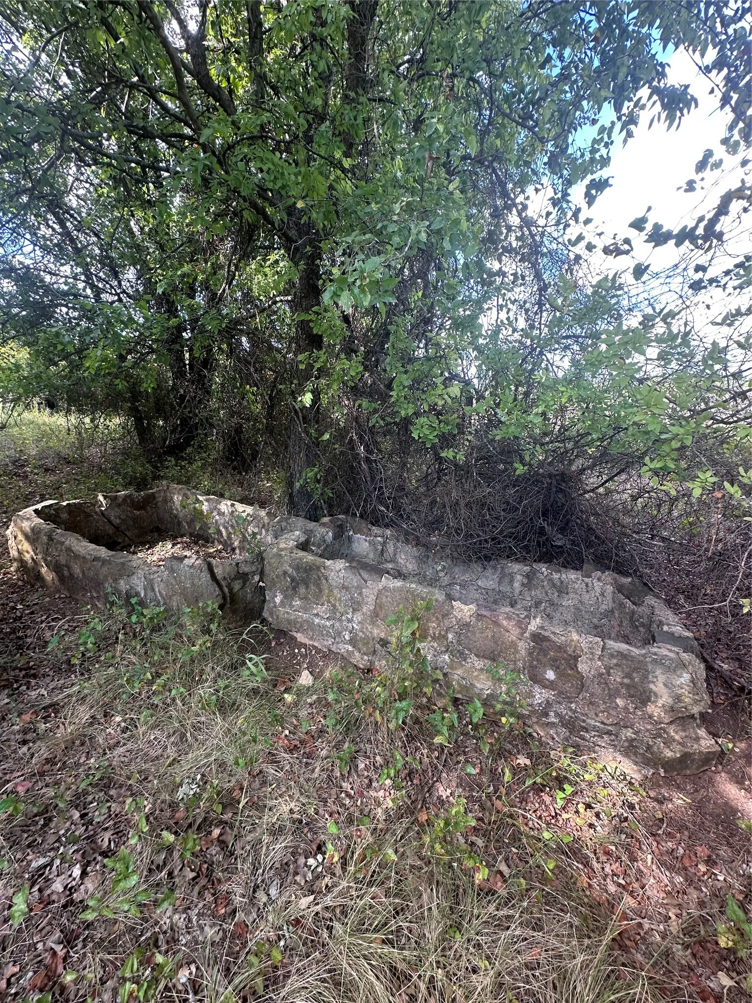 Unimproved Land For Sale in Eastland County , 384 County Road 406, Carbon, Texas 76435, 0, 0, Garage spaces, 0 Sqft, built in 0, mls#21391061, Real Estate Agent in Carbon, Homes For Sale in Eastland county, Homes For Sale in Carbon, Realtor in Carbon Texas, Real Estate Brokerage Independent Realty Texas, Luminita Cordes Realtor