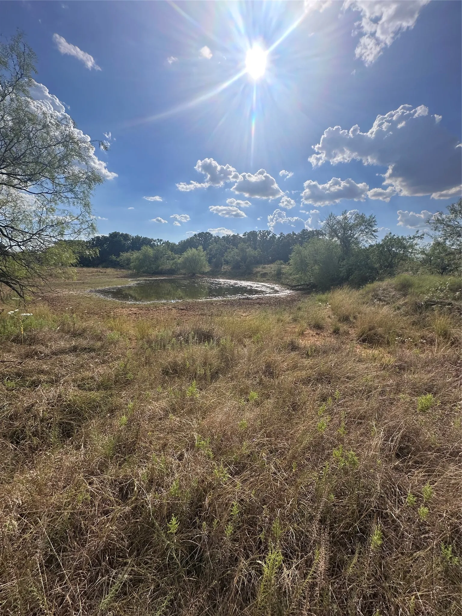 Unimproved Land For Sale in Eastland County , 384 County Road 406, Carbon, Texas 76435, 0, 0, Garage spaces, 0 Sqft, built in 0, mls#21391061, Real Estate Agent in Carbon, Homes For Sale in Eastland county, Homes For Sale in Carbon, Realtor in Carbon Texas, Real Estate Brokerage Independent Realty Texas, Luminita Cordes Realtor