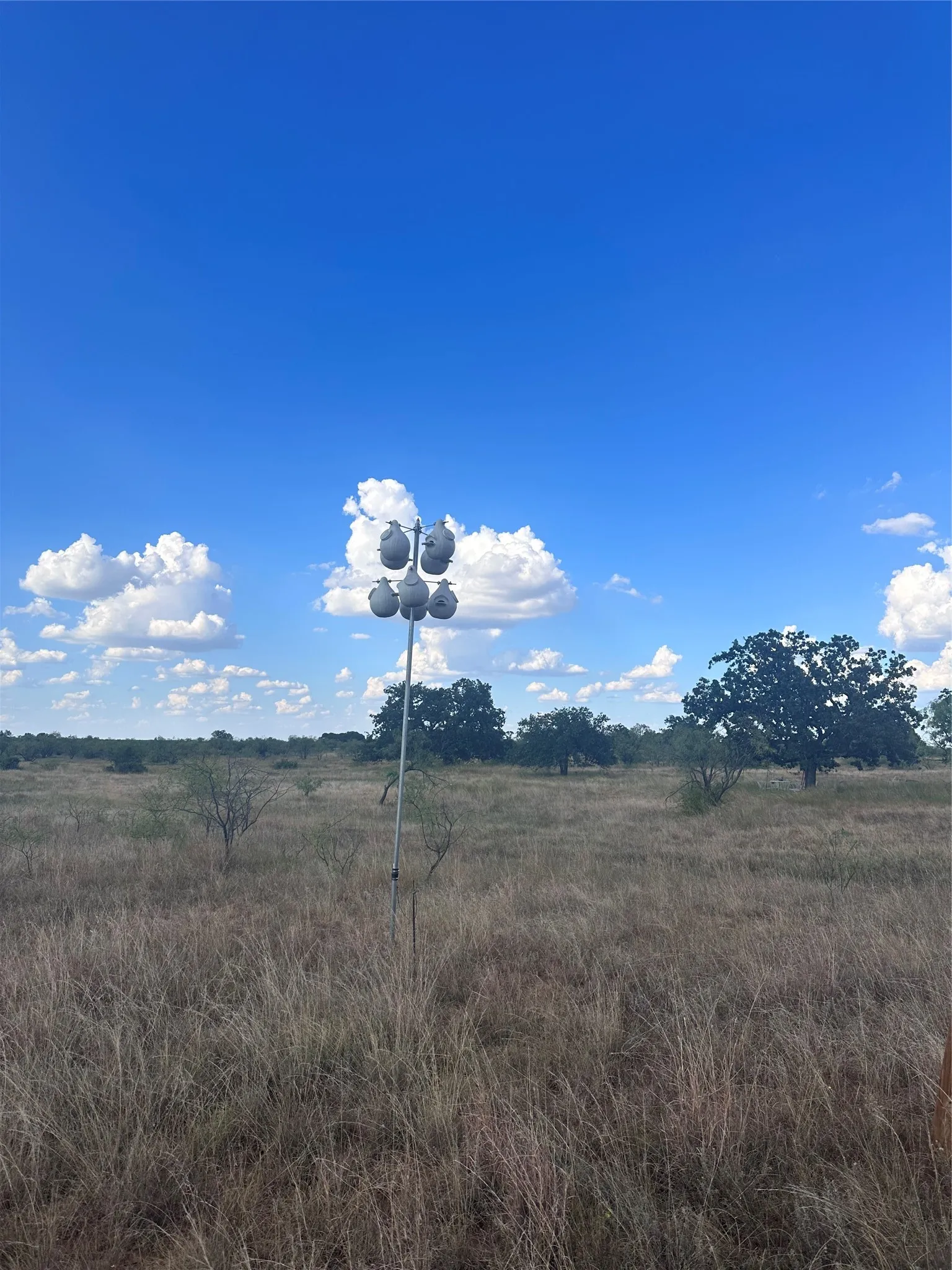 Unimproved Land For Sale in Eastland County , 384 County Road 406, Carbon, Texas 76435, 0, 0, Garage spaces, 0 Sqft, built in 0, mls#21391061, Real Estate Agent in Carbon, Homes For Sale in Eastland county, Homes For Sale in Carbon, Realtor in Carbon Texas, Real Estate Brokerage Independent Realty Texas, Luminita Cordes Realtor