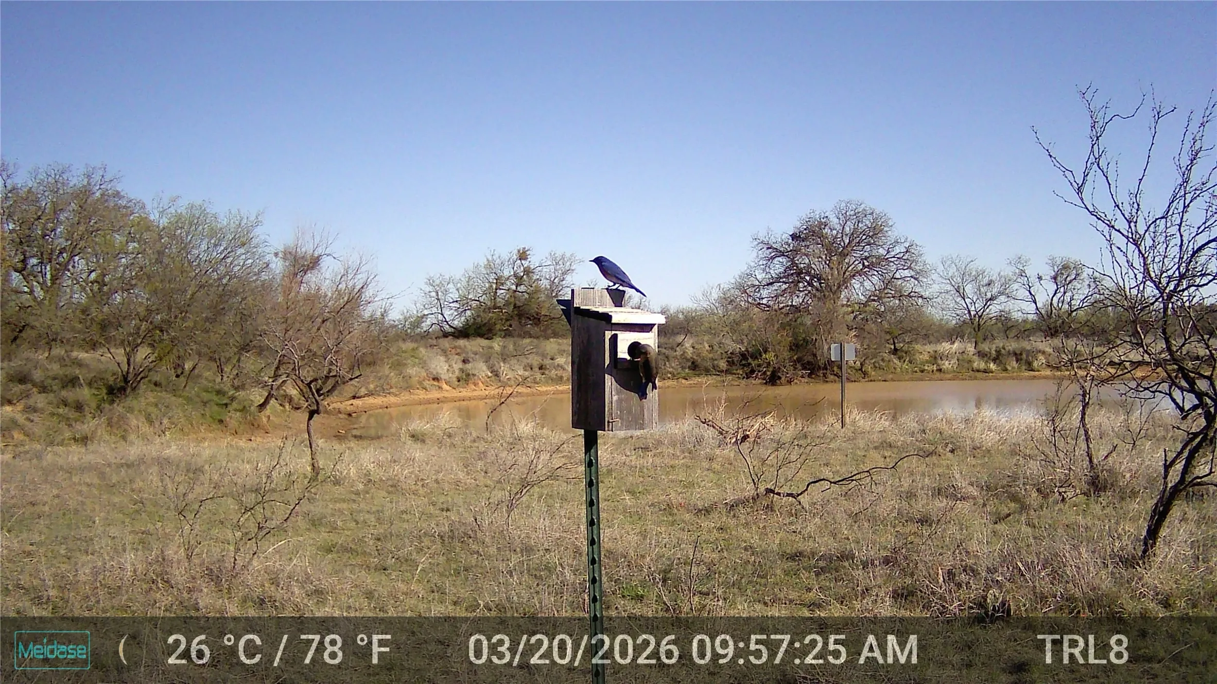 Unimproved Land For Sale in Eastland County , 384 County Road 406, Carbon, Texas 76435, 0, 0, Garage spaces, 0 Sqft, built in 0, mls#21391061, Real Estate Agent in Carbon, Homes For Sale in Eastland county, Homes For Sale in Carbon, Realtor in Carbon Texas, Real Estate Brokerage Independent Realty Texas, Luminita Cordes Realtor