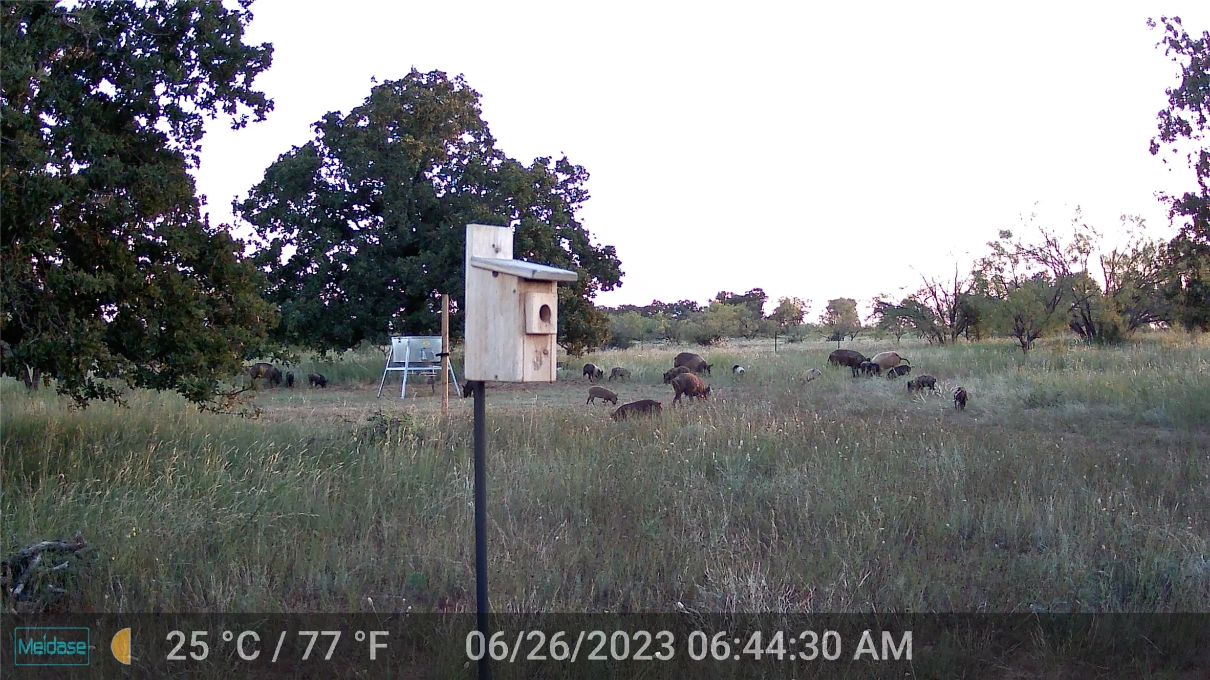 Unimproved Land For Sale in Eastland County , 384 County Road 406, Carbon, Texas 76435, 0, 0, Garage spaces, 0 Sqft, built in 0, mls#21391061, Real Estate Agent in Carbon, Homes For Sale in Eastland county, Homes For Sale in Carbon, Realtor in Carbon Texas, Real Estate Brokerage Independent Realty Texas, Luminita Cordes Realtor