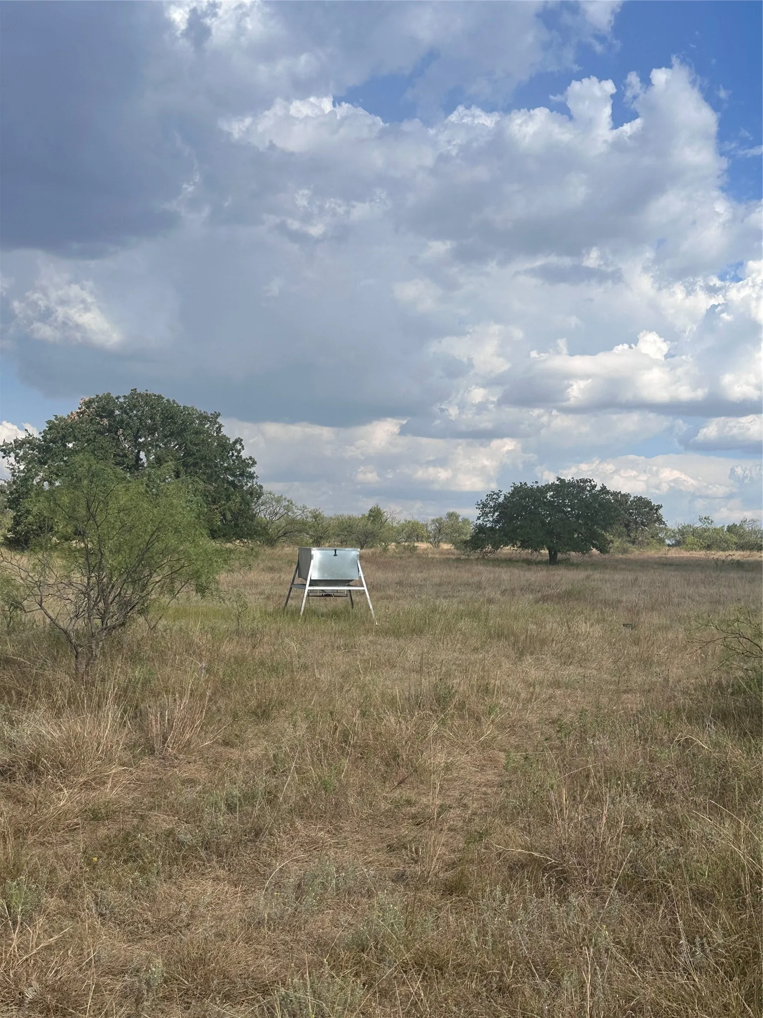 Unimproved Land For Sale in Eastland County , 384 County Road 406, Carbon, Texas 76435, 0, 0, Garage spaces, 0 Sqft, built in 0, mls#21391061, Real Estate Agent in Carbon, Homes For Sale in Eastland county, Homes For Sale in Carbon, Realtor in Carbon Texas, Real Estate Brokerage Independent Realty Texas, Luminita Cordes Realtor