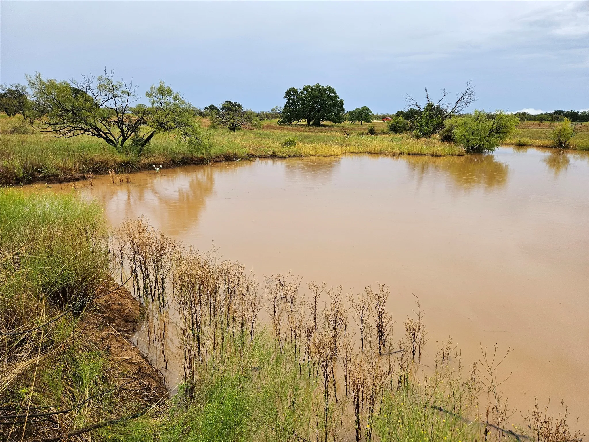 Unimproved Land For Sale in Eastland County , 384 County Road 406, Carbon, Texas 76435, 0, 0, Garage spaces, 0 Sqft, built in 0, mls#21391061, Real Estate Agent in Carbon, Homes For Sale in Eastland county, Homes For Sale in Carbon, Realtor in Carbon Texas, Real Estate Brokerage Independent Realty Texas, Luminita Cordes Realtor