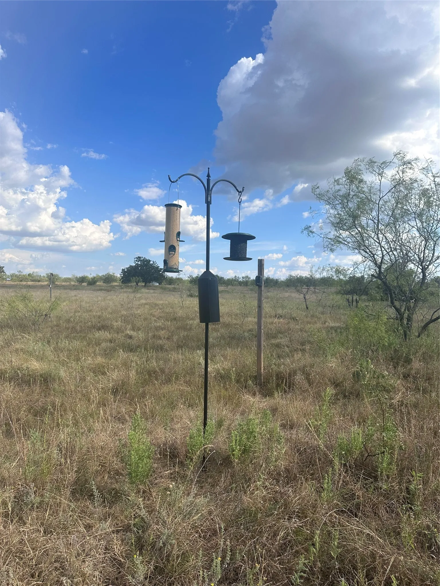 Unimproved Land For Sale in Eastland County , 384 County Road 406, Carbon, Texas 76435, 0, 0, Garage spaces, 0 Sqft, built in 0, mls#21391061, Real Estate Agent in Carbon, Homes For Sale in Eastland county, Homes For Sale in Carbon, Realtor in Carbon Texas, Real Estate Brokerage Independent Realty Texas, Luminita Cordes Realtor