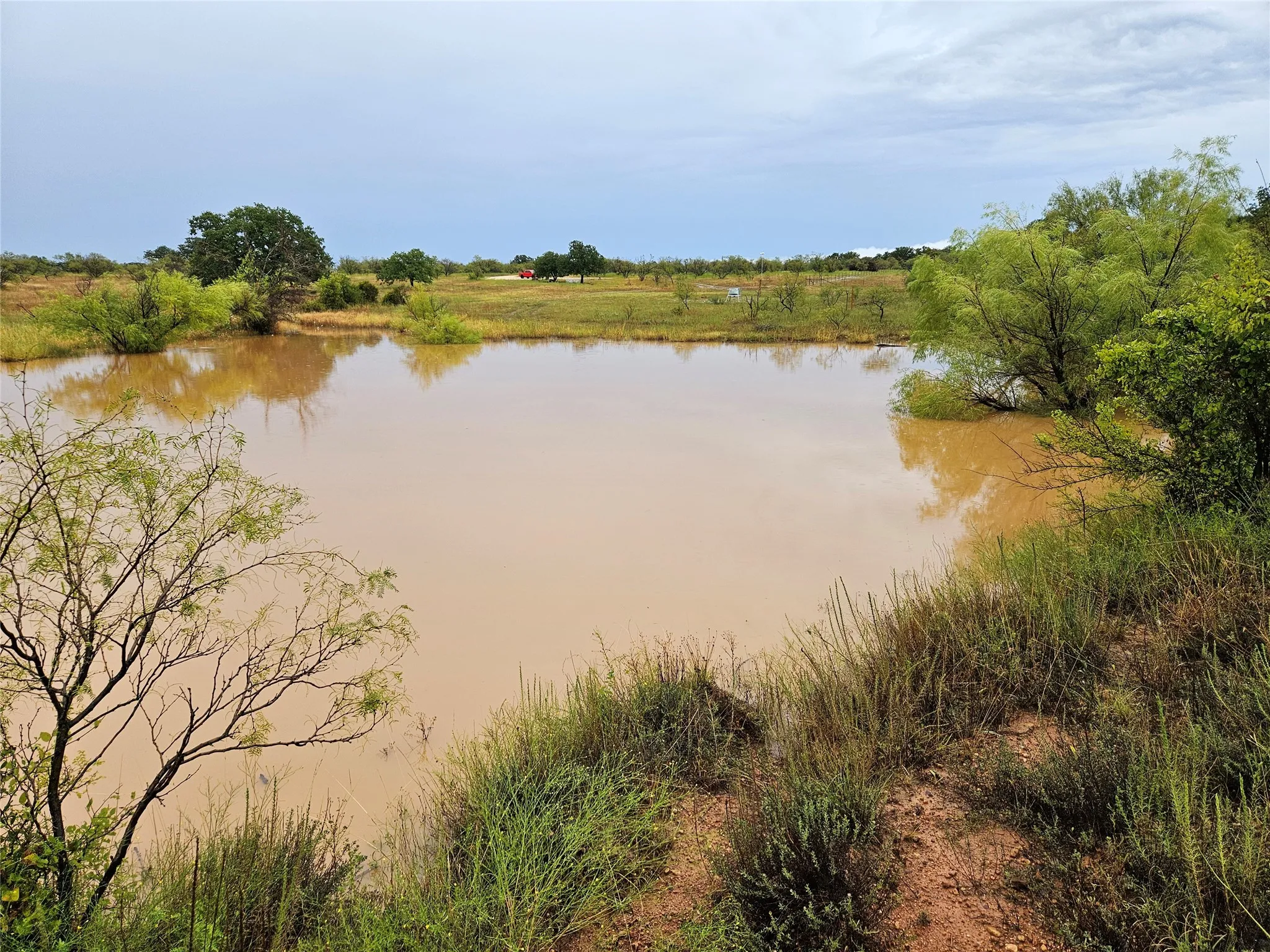 Unimproved Land For Sale in Eastland County , 384 County Road 406, Carbon, Texas 76435, 0, 0, Garage spaces, 0 Sqft, built in 0, mls#21391061, Real Estate Agent in Carbon, Homes For Sale in Eastland county, Homes For Sale in Carbon, Realtor in Carbon Texas, Real Estate Brokerage Independent Realty Texas, Luminita Cordes Realtor