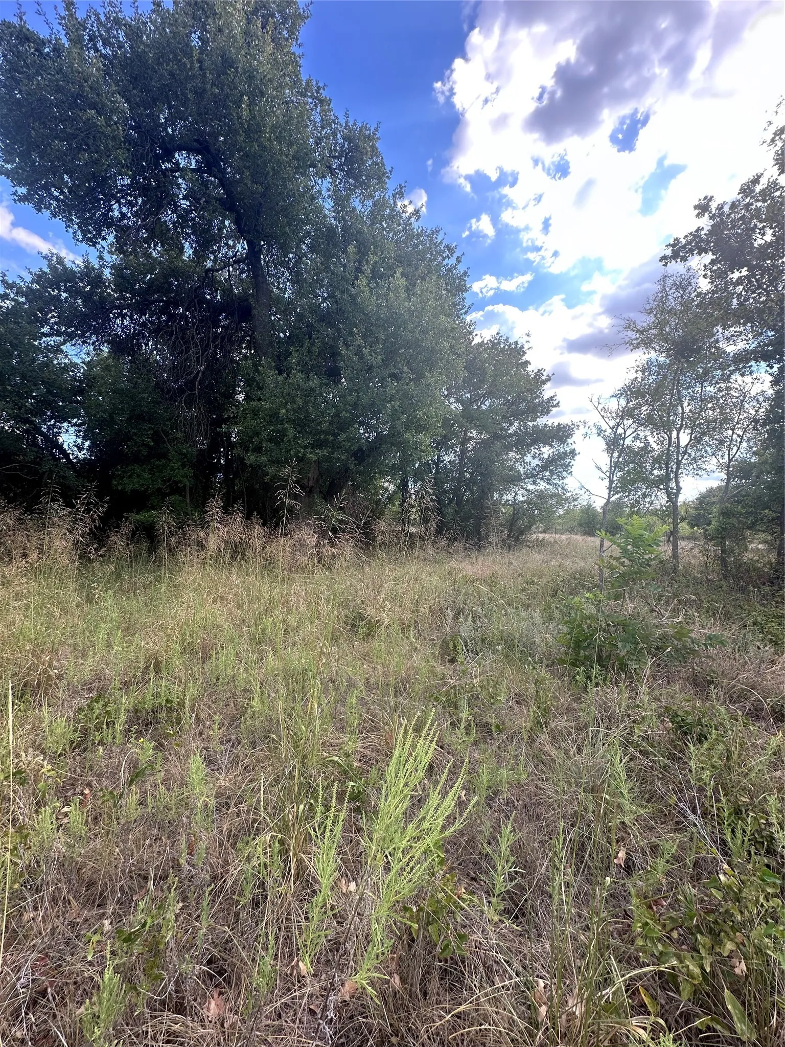Unimproved Land For Sale in Eastland County , 384 County Road 406, Carbon, Texas 76435, 0, 0, Garage spaces, 0 Sqft, built in 0, mls#21391061, Real Estate Agent in Carbon, Homes For Sale in Eastland county, Homes For Sale in Carbon, Realtor in Carbon Texas, Real Estate Brokerage Independent Realty Texas, Luminita Cordes Realtor