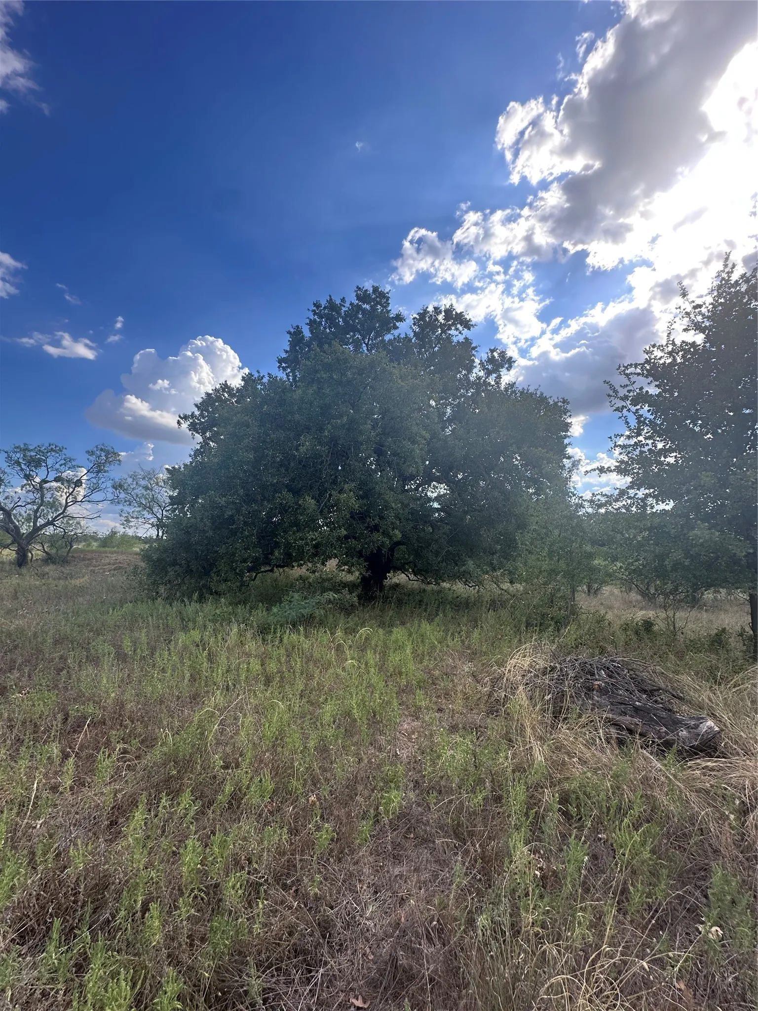 Unimproved Land For Sale in Eastland County , 384 County Road 406, Carbon, Texas 76435, 0, 0, Garage spaces, 0 Sqft, built in 0, mls#21391061, Real Estate Agent in Carbon, Homes For Sale in Eastland county, Homes For Sale in Carbon, Realtor in Carbon Texas, Real Estate Brokerage Independent Realty Texas, Luminita Cordes Realtor