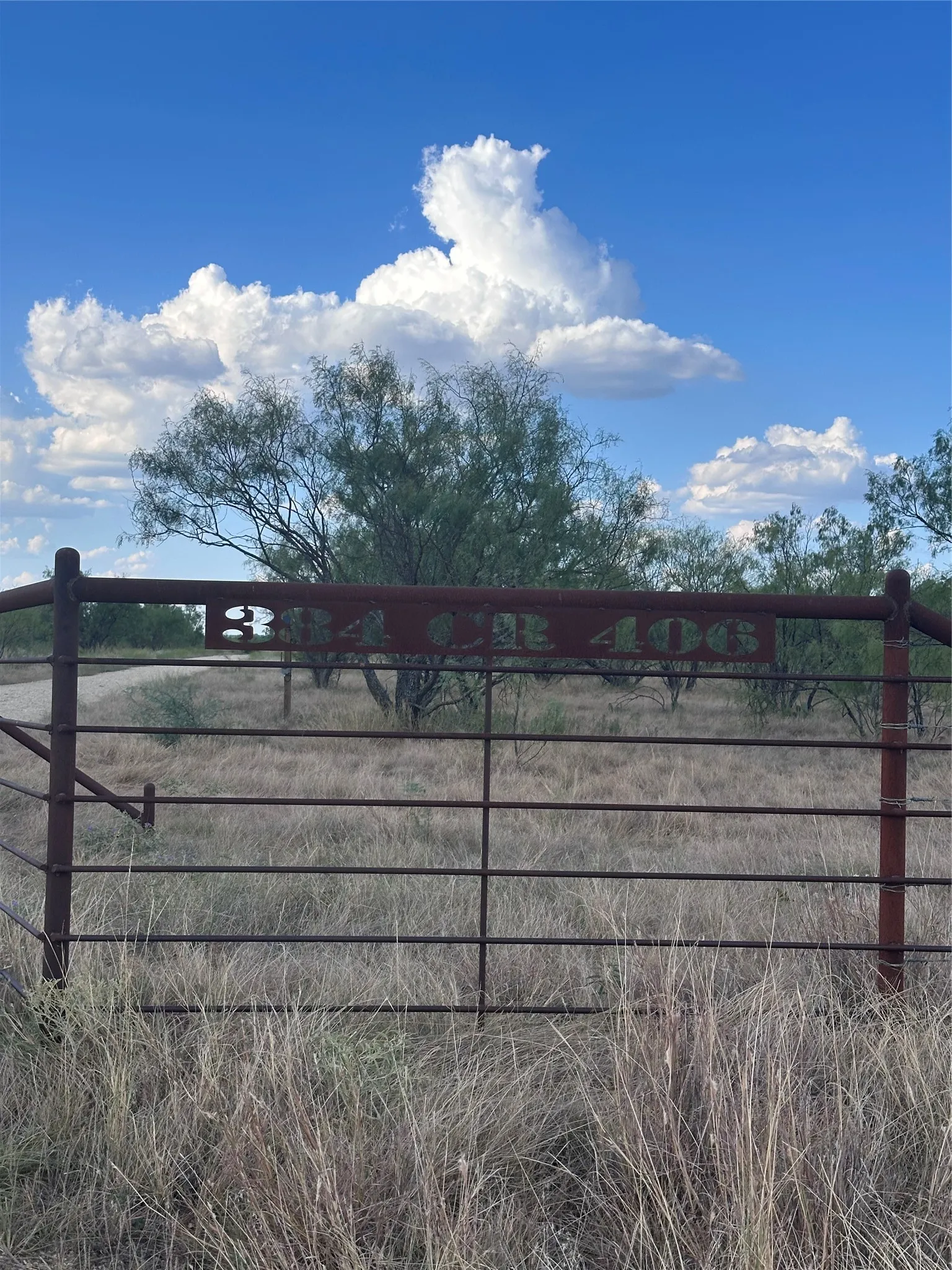 Unimproved Land For Sale in Eastland County , 384 County Road 406, Carbon, Texas 76435, 0, 0, Garage spaces, 0 Sqft, built in 0, mls#21391061, Real Estate Agent in Carbon, Homes For Sale in Eastland county, Homes For Sale in Carbon, Realtor in Carbon Texas, Real Estate Brokerage Independent Realty Texas, Luminita Cordes Realtor
