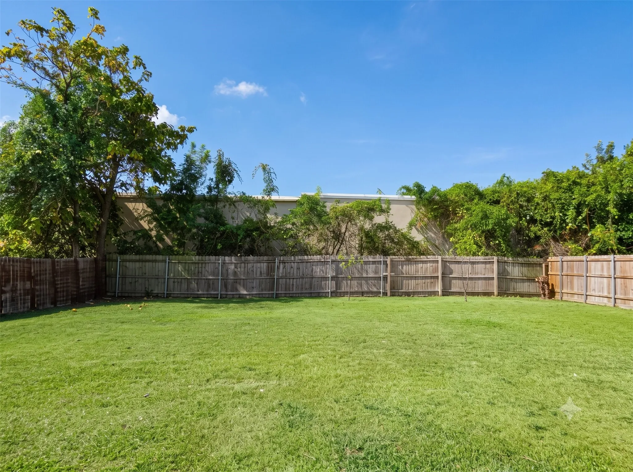 Expansive grass lawn with a full wood privacy fence and mature trees