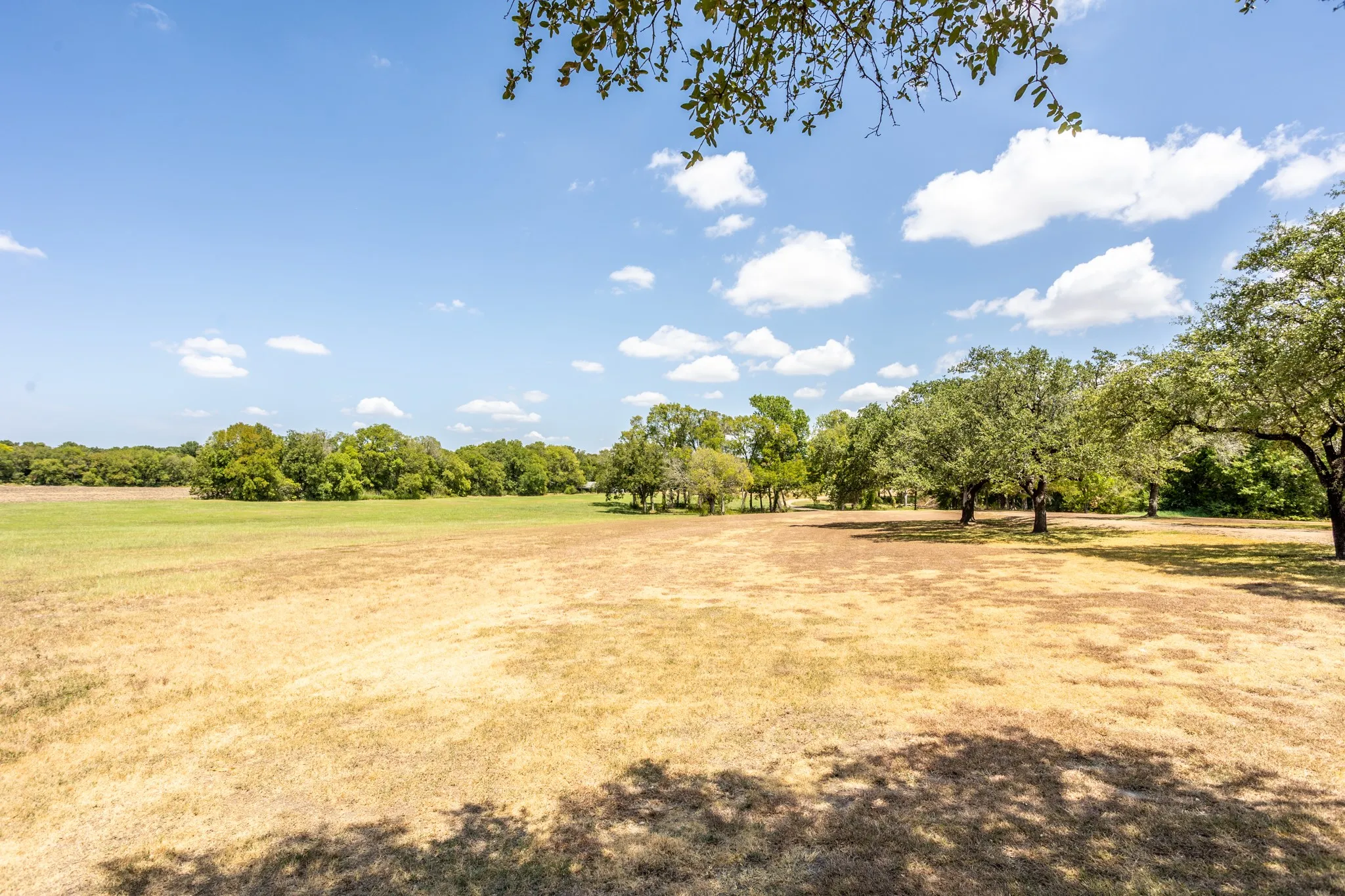 View of acreage