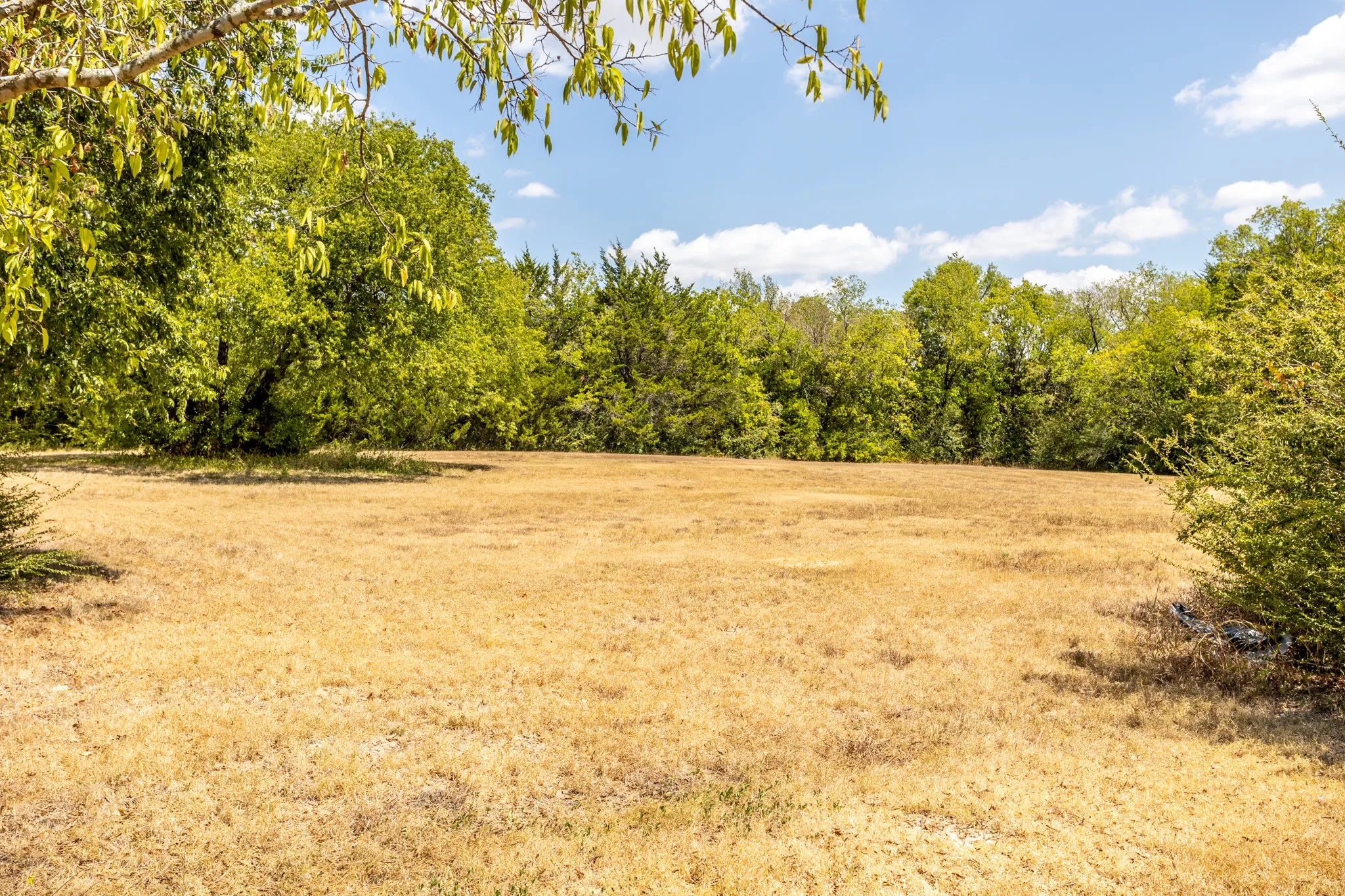 In a few weeks this wil green and leaves turning fall colors.of open field by home