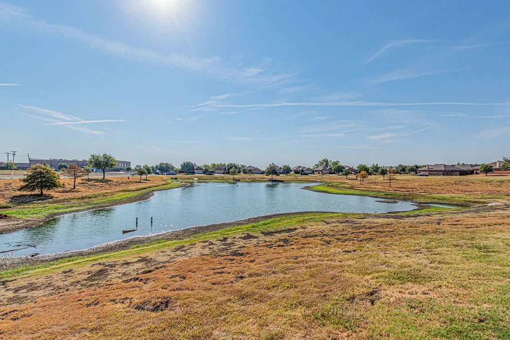 Neighborhood Pond
