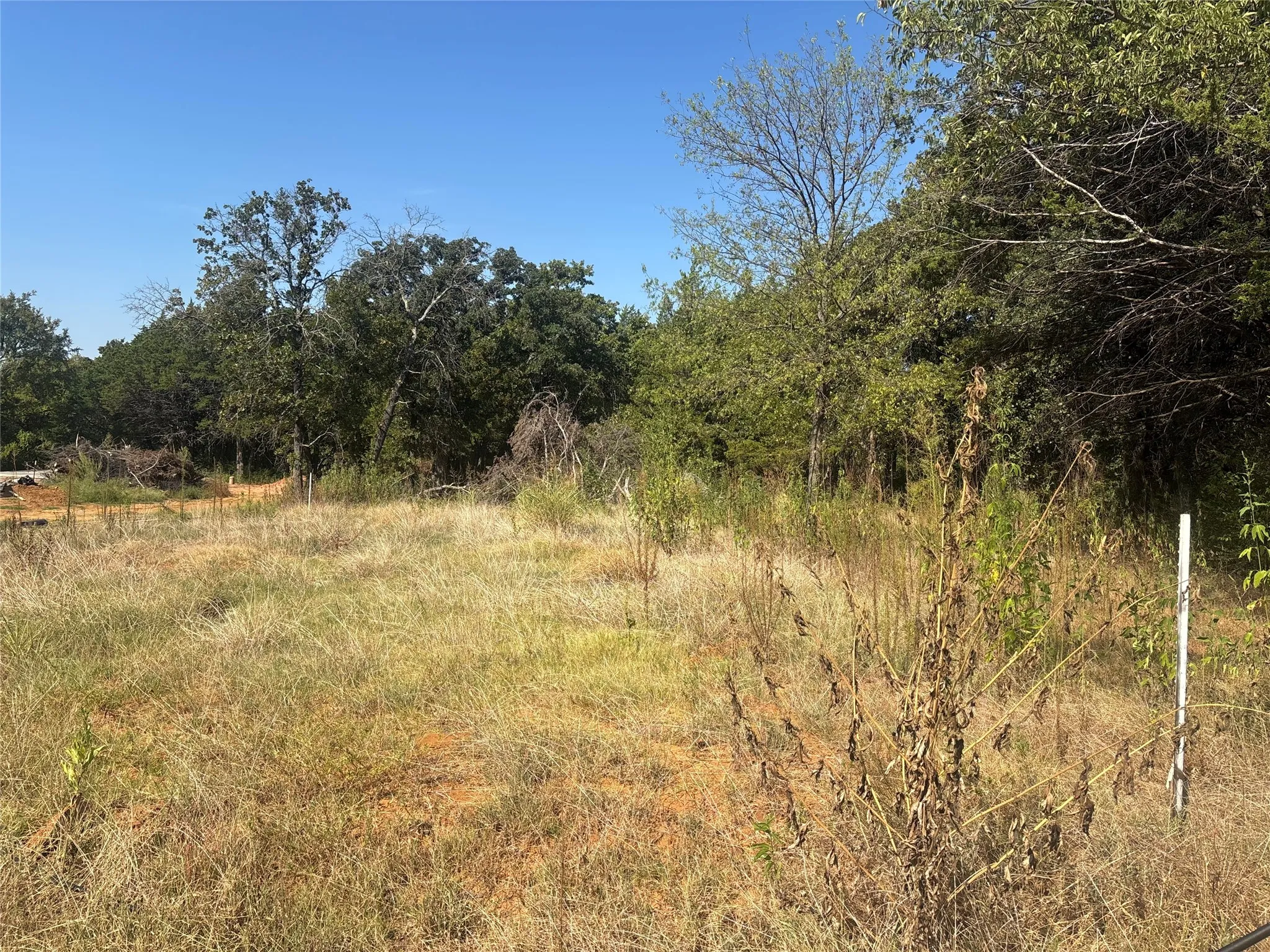 Improved Land For Sale in Grayson County , 379 & 401 CR 167, Whitesboro, Texas 76273, 0, 0, Garage spaces, 0 Sqft, built in 0, mls#21389967, Real Estate Agent in Whitesboro, Homes For Sale in Grayson county, Homes For Sale in Whitesboro, Realtor in Whitesboro Texas, Real Estate Brokerage Independent Realty Texas, Luminita Cordes Realtor