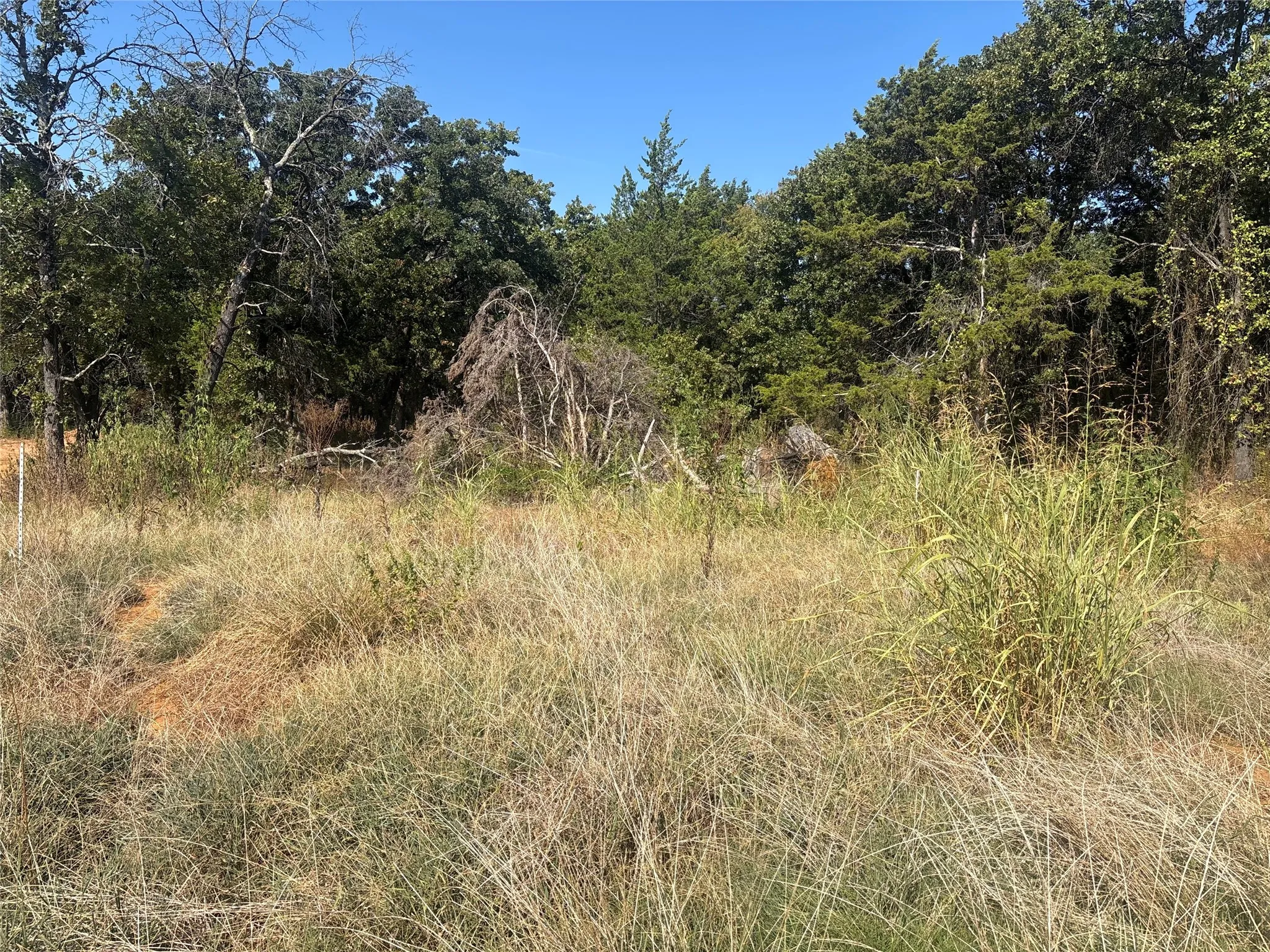 Improved Land For Sale in Grayson County , 379 & 401 CR 167, Whitesboro, Texas 76273, 0, 0, Garage spaces, 0 Sqft, built in 0, mls#21389967, Real Estate Agent in Whitesboro, Homes For Sale in Grayson county, Homes For Sale in Whitesboro, Realtor in Whitesboro Texas, Real Estate Brokerage Independent Realty Texas, Luminita Cordes Realtor