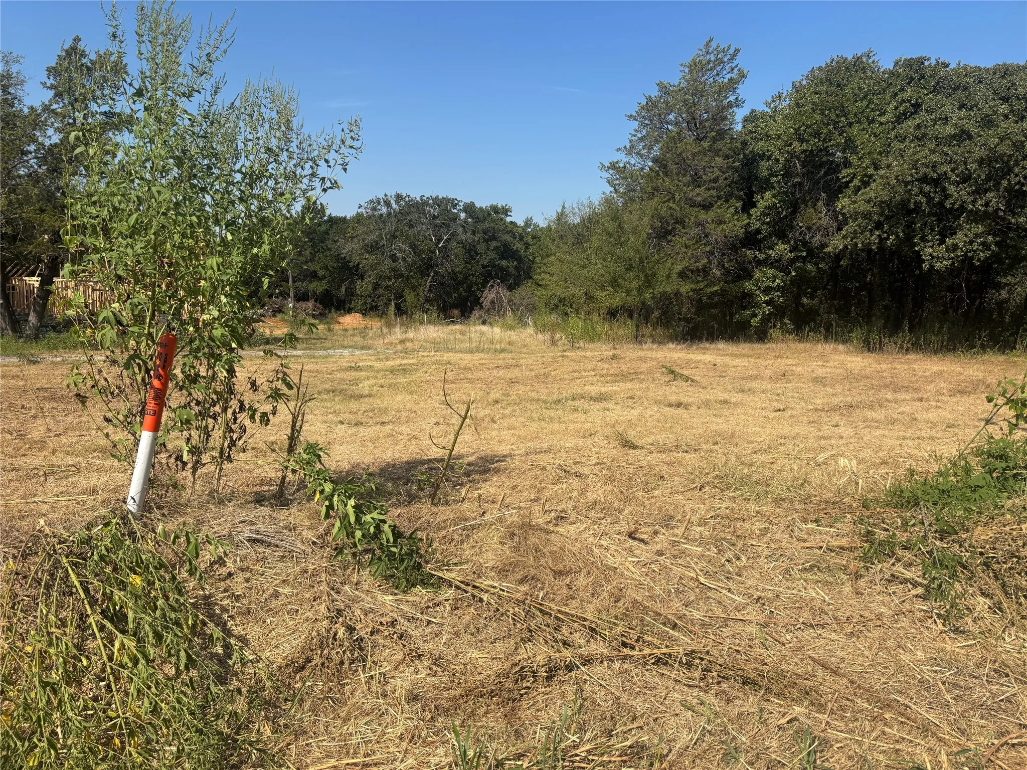 Improved Land For Sale in Grayson County , 379 & 401 CR 167, Whitesboro, Texas 76273, 0, 0, Garage spaces, 0 Sqft, built in 0, mls#21389967, Real Estate Agent in Whitesboro, Homes For Sale in Grayson county, Homes For Sale in Whitesboro, Realtor in Whitesboro Texas, Real Estate Brokerage Independent Realty Texas, Luminita Cordes Realtor