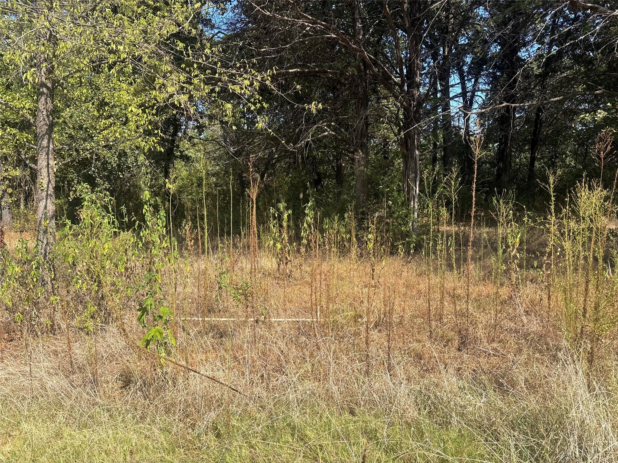 Improved Land For Sale in Grayson County , 379 & 401 CR 167, Whitesboro, Texas 76273, 0, 0, Garage spaces, 0 Sqft, built in 0, mls#21389967, Real Estate Agent in Whitesboro, Homes For Sale in Grayson county, Homes For Sale in Whitesboro, Realtor in Whitesboro Texas, Real Estate Brokerage Independent Realty Texas, Luminita Cordes Realtor