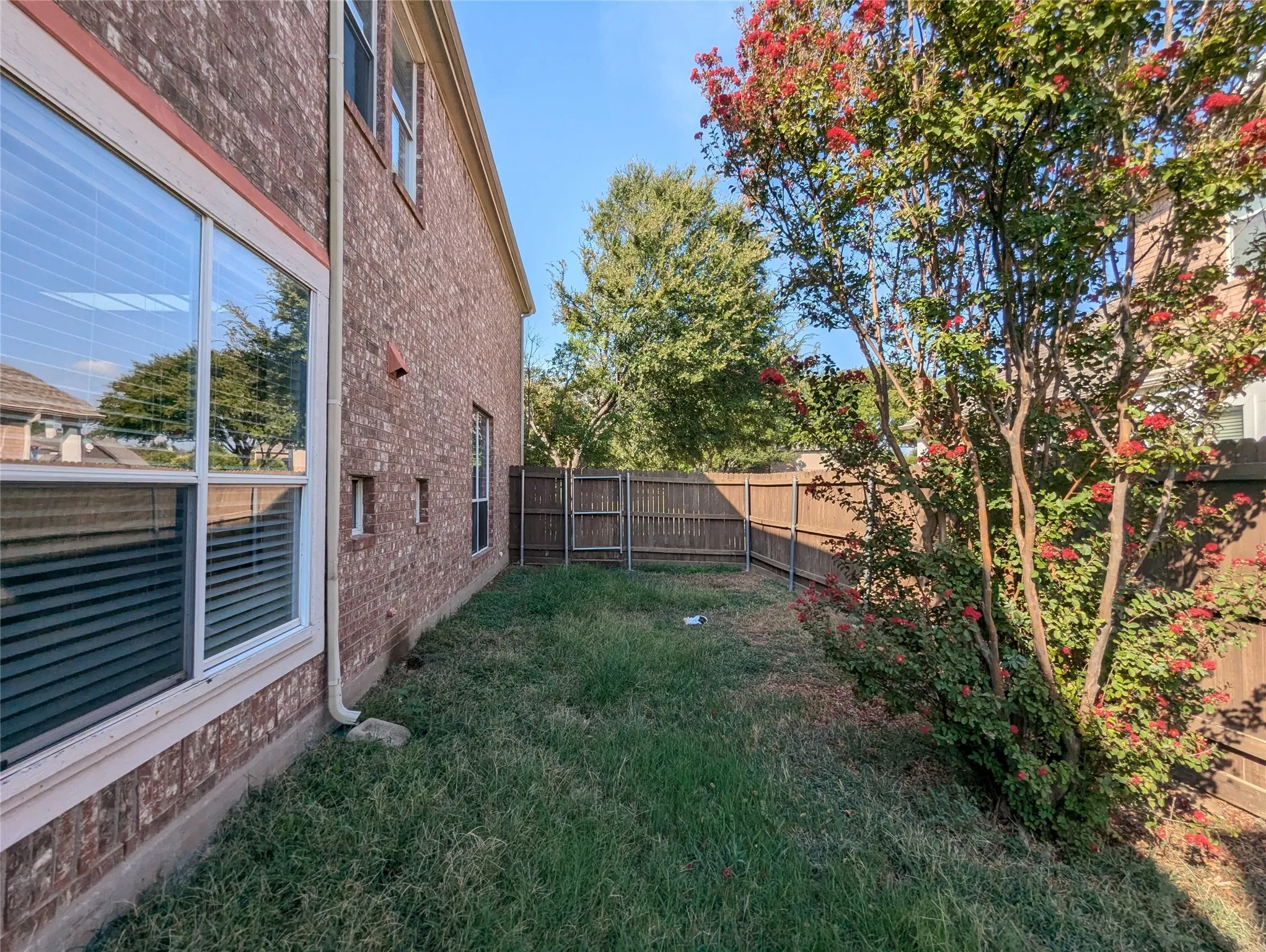 Brick exterior with multiple windows, fenced yard, and established flowering shrub