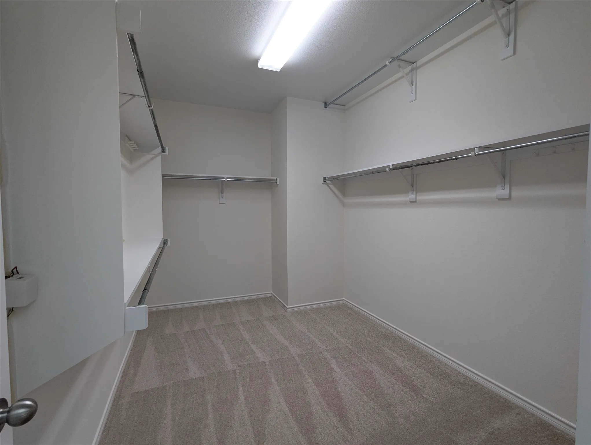 Walk-in closet with carpet flooring, white walls, built-in shelving, and metal hanging rods
