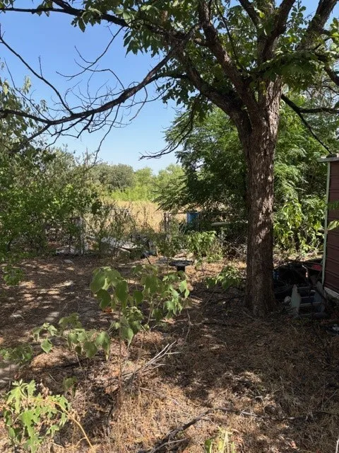 Leading back to the cleared acreage behind the house.