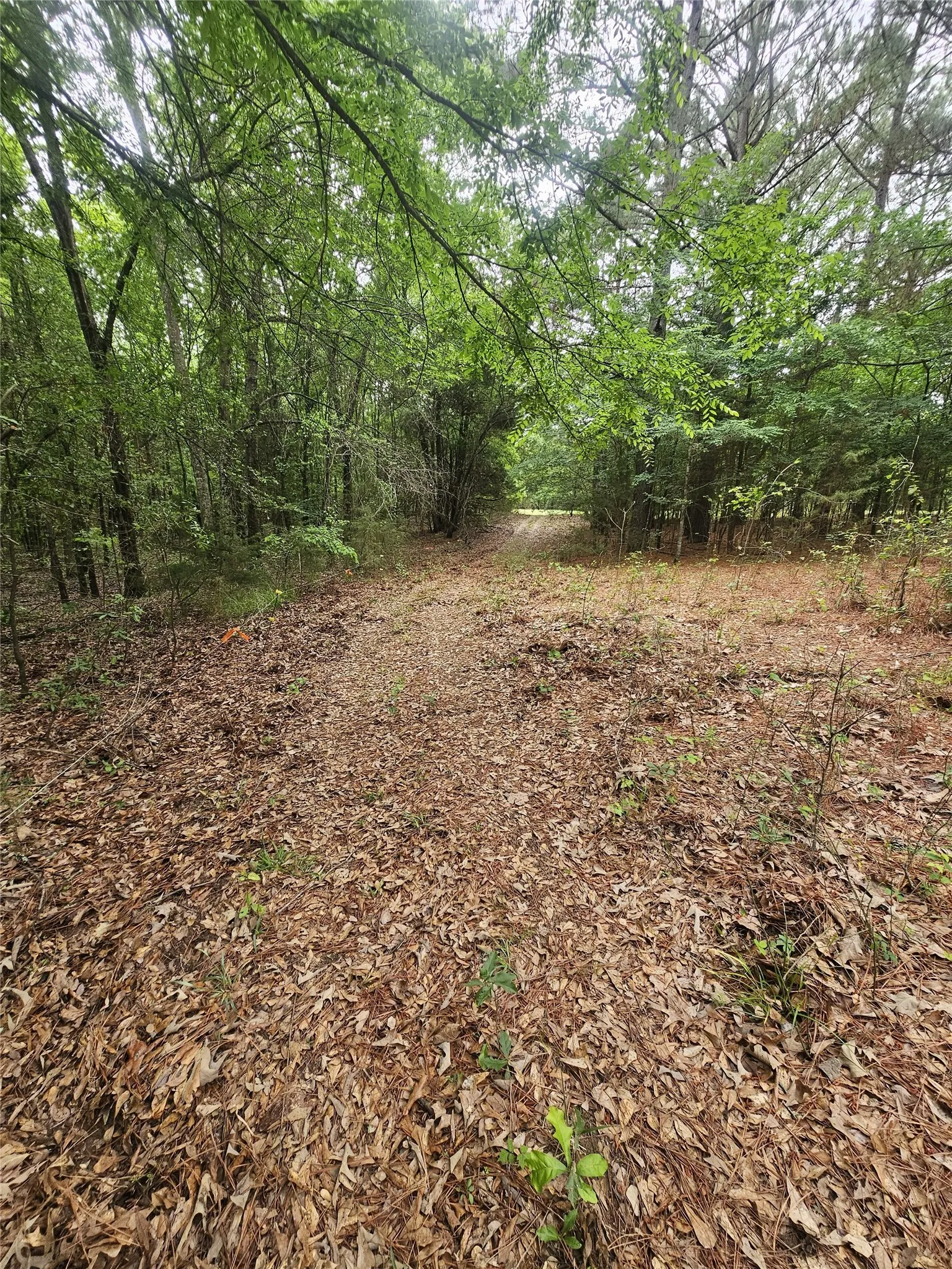 Unimproved Land For Sale in Lamar County , TBD CR 45400, Paris, Texas 75462, 0, 0, Garage spaces, 0 Sqft, built in 0, mls#21391036, Real Estate Agent in Paris, Homes For Sale in Lamar county, Homes For Sale in Paris, Realtor in Paris Texas, Real Estate Brokerage Independent Realty Texas, Luminita Cordes Realtor