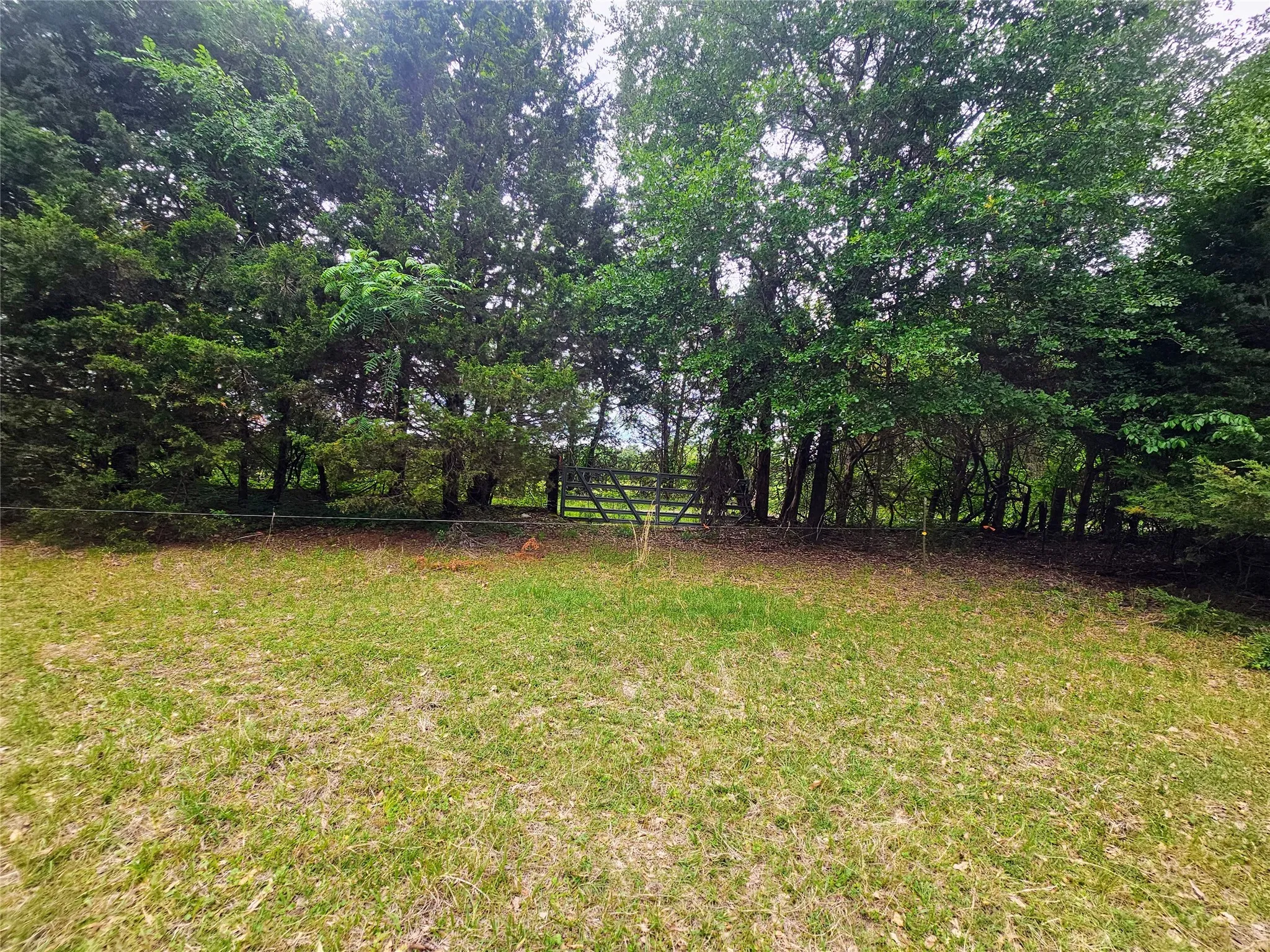 Unimproved Land For Sale in Lamar County , TBD CR 45400, Paris, Texas 75462, 0, 0, Garage spaces, 0 Sqft, built in 0, mls#21391036, Real Estate Agent in Paris, Homes For Sale in Lamar county, Homes For Sale in Paris, Realtor in Paris Texas, Real Estate Brokerage Independent Realty Texas, Luminita Cordes Realtor