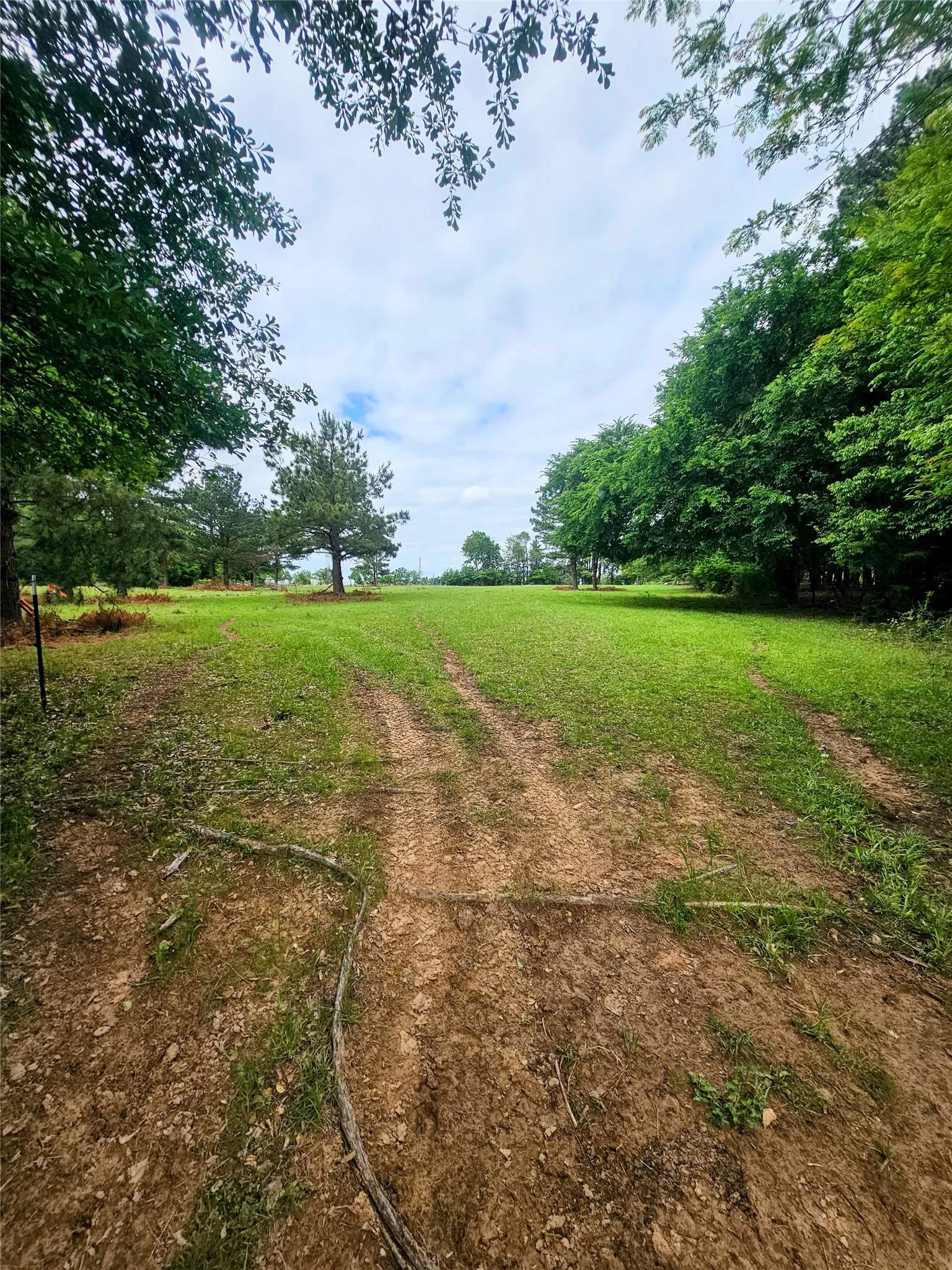 Unimproved Land For Sale in Lamar County , TBD CR 45400, Paris, Texas 75462, 0, 0, Garage spaces, 0 Sqft, built in 0, mls#21391036, Real Estate Agent in Paris, Homes For Sale in Lamar county, Homes For Sale in Paris, Realtor in Paris Texas, Real Estate Brokerage Independent Realty Texas, Luminita Cordes Realtor