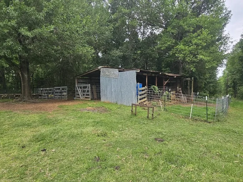 Single Family Residence For Sale in Lamar County , 1350 County Road 45400, Paris, Texas 75462, 3 Bedroom, 4 Bathroom, Garage spaces, 1,800 Sqft, built in 1989, mls#21391034, Real Estate Agent in Paris, Homes For Sale in Lamar county, Homes For Sale in Paris, Realtor in Paris Texas, Real Estate Brokerage Independent Realty Texas, Luminita Cordes Realtor
