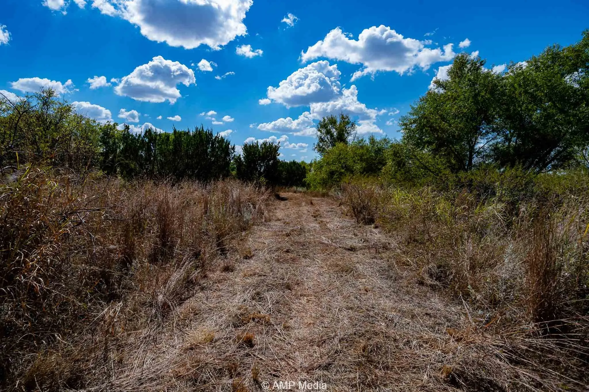 Ranch For Sale in Haskell County , 4660 County Road 463, Rule, Texas 79547, 0, 0, Garage spaces, 0 Sqft, built in 2008, mls#21391263, Real Estate Agent in Rule, Homes For Sale in Haskell county, Homes For Sale in Rule, Realtor in Rule Texas, Real Estate Brokerage Independent Realty Texas, Luminita Cordes Realtor