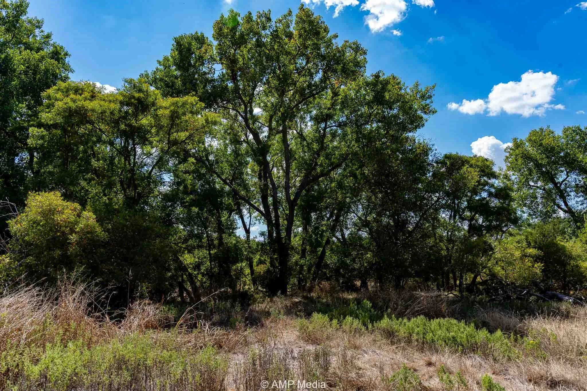 Ranch For Sale in Haskell County , 4660 County Road 463, Rule, Texas 79547, 0, 0, Garage spaces, 0 Sqft, built in 2008, mls#21391263, Real Estate Agent in Rule, Homes For Sale in Haskell county, Homes For Sale in Rule, Realtor in Rule Texas, Real Estate Brokerage Independent Realty Texas, Luminita Cordes Realtor