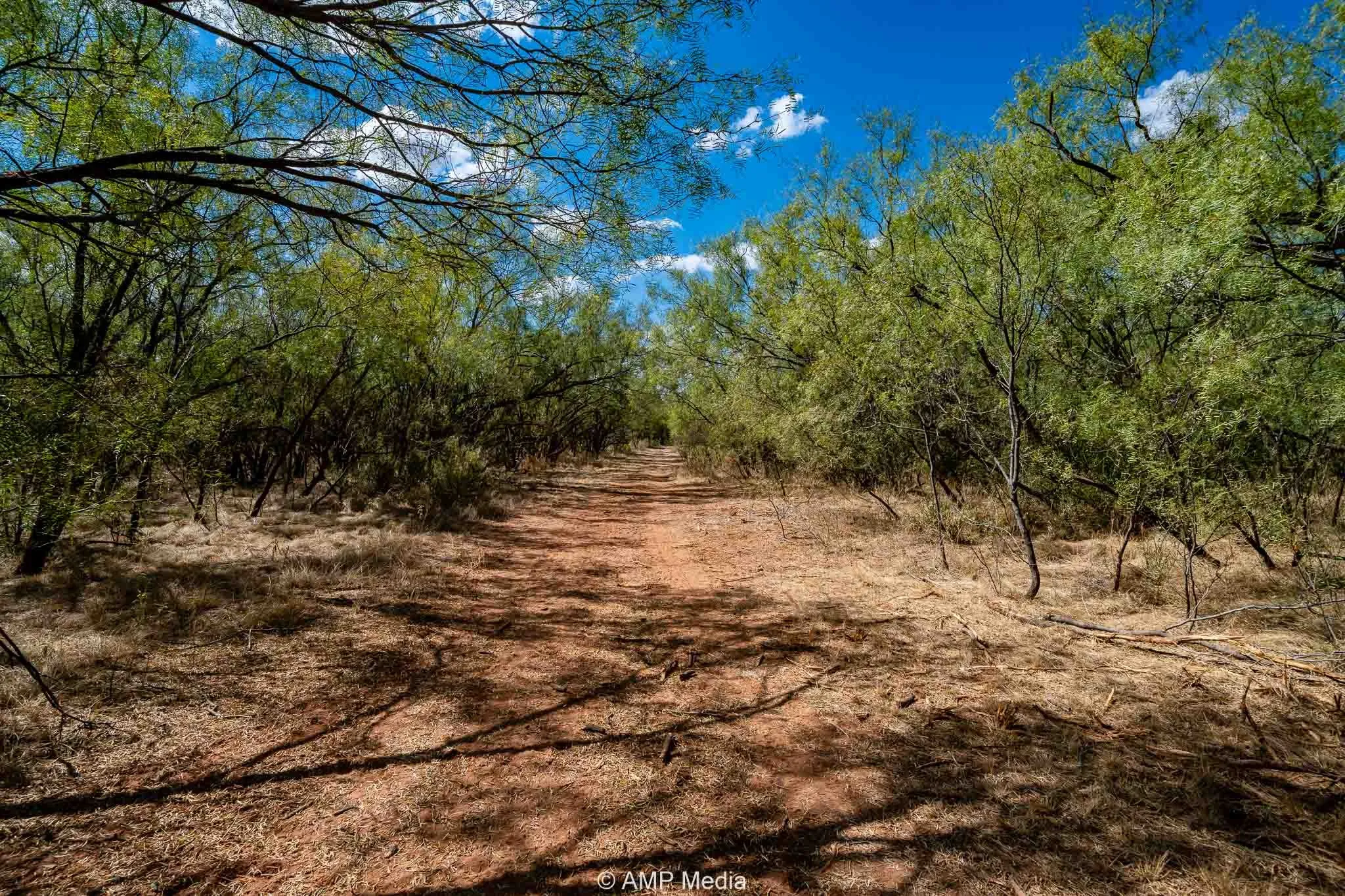 Ranch For Sale in Haskell County , 4660 County Road 463, Rule, Texas 79547, 0, 0, Garage spaces, 0 Sqft, built in 2008, mls#21391263, Real Estate Agent in Rule, Homes For Sale in Haskell county, Homes For Sale in Rule, Realtor in Rule Texas, Real Estate Brokerage Independent Realty Texas, Luminita Cordes Realtor