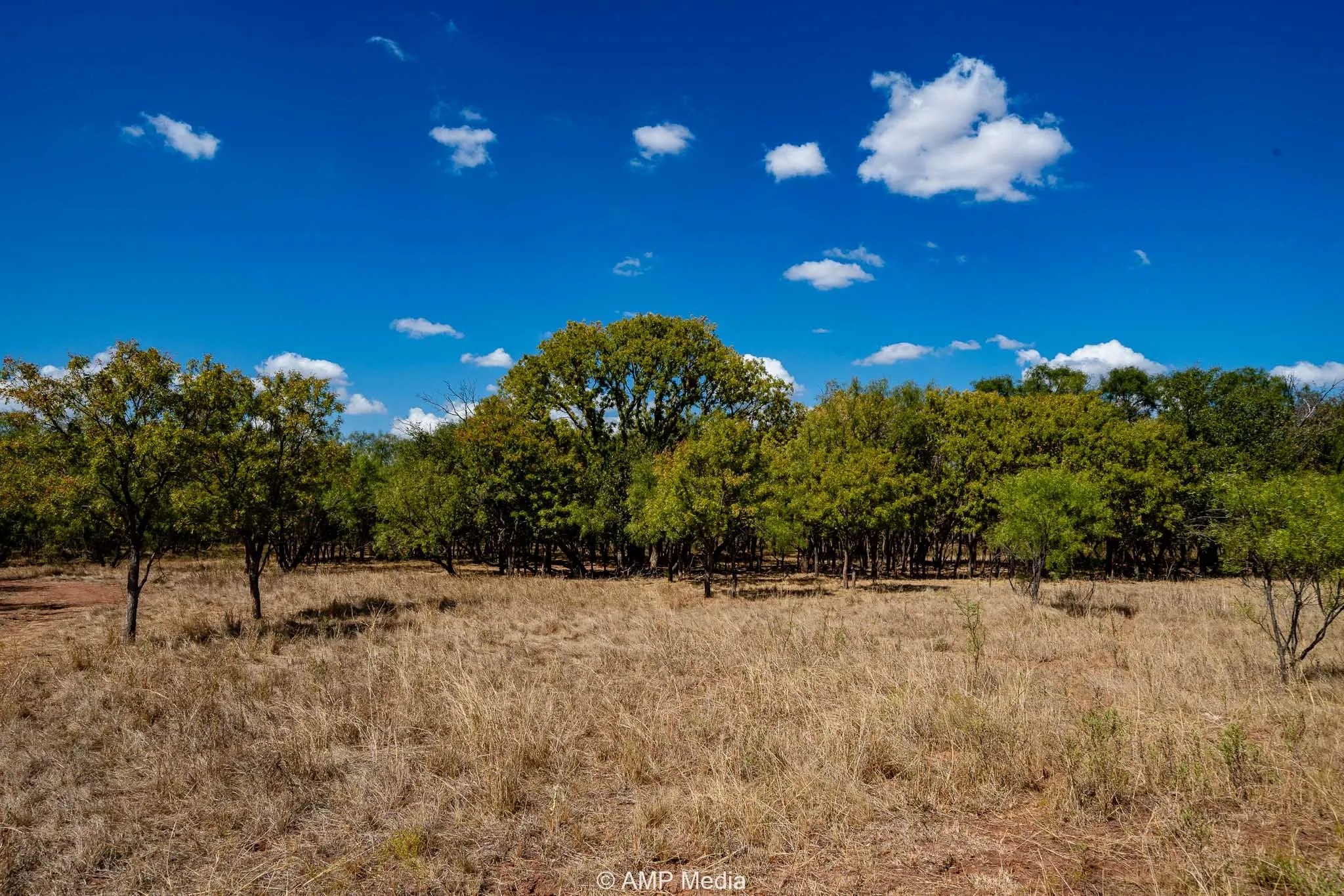 Ranch For Sale in Haskell County , 4660 County Road 463, Rule, Texas 79547, 0, 0, Garage spaces, 0 Sqft, built in 2008, mls#21391263, Real Estate Agent in Rule, Homes For Sale in Haskell county, Homes For Sale in Rule, Realtor in Rule Texas, Real Estate Brokerage Independent Realty Texas, Luminita Cordes Realtor