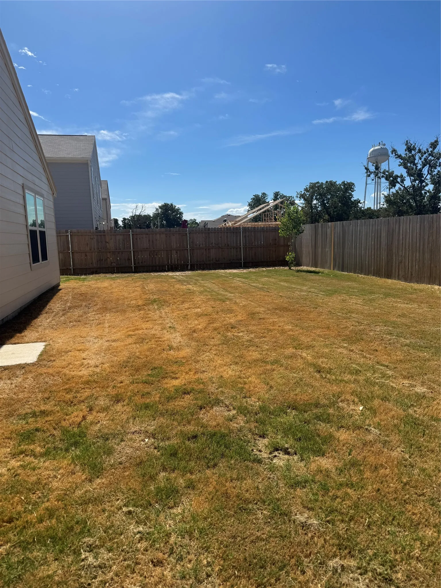 Expansive lawn area with a perimeter privacy fence and a young tree