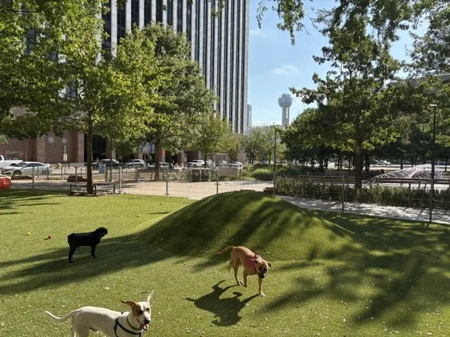 Dog park at Civic Garden Park is adjacent to The Metropolitan