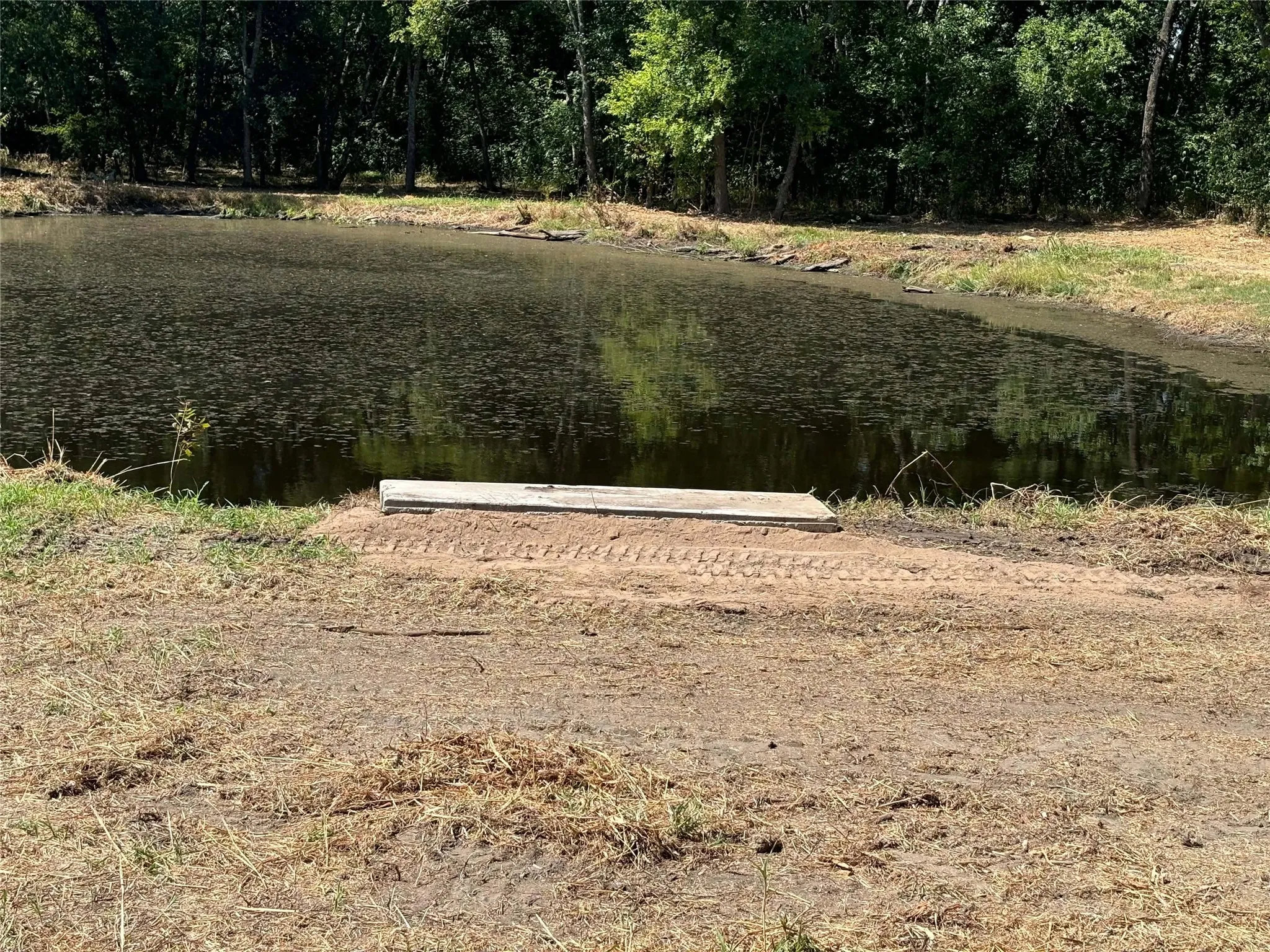 Single Family Residence For Sale in Collin County , 240 Teakwood Drive, Princeton, Texas 75407, 4 Bedroom, 4 Bathroom, 2 Garage spaces, 2,531 Sqft, built in 2020, mls#21391185, Real Estate Agent in Princeton, Homes For Sale in Collin county, Homes For Sale in Princeton, Realtor in Princeton Texas, Real Estate Brokerage Independent Realty Texas, Luminita Cordes Realtor
