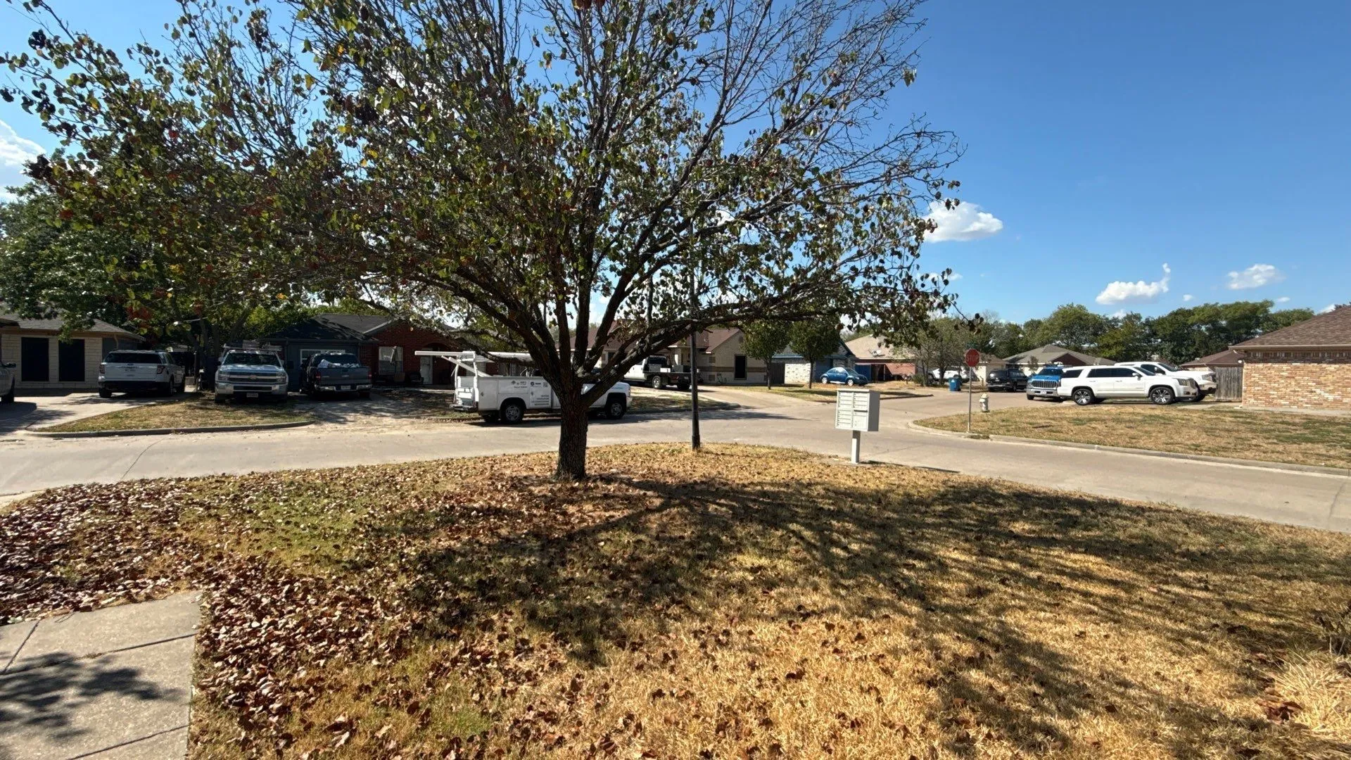 Front Yard
