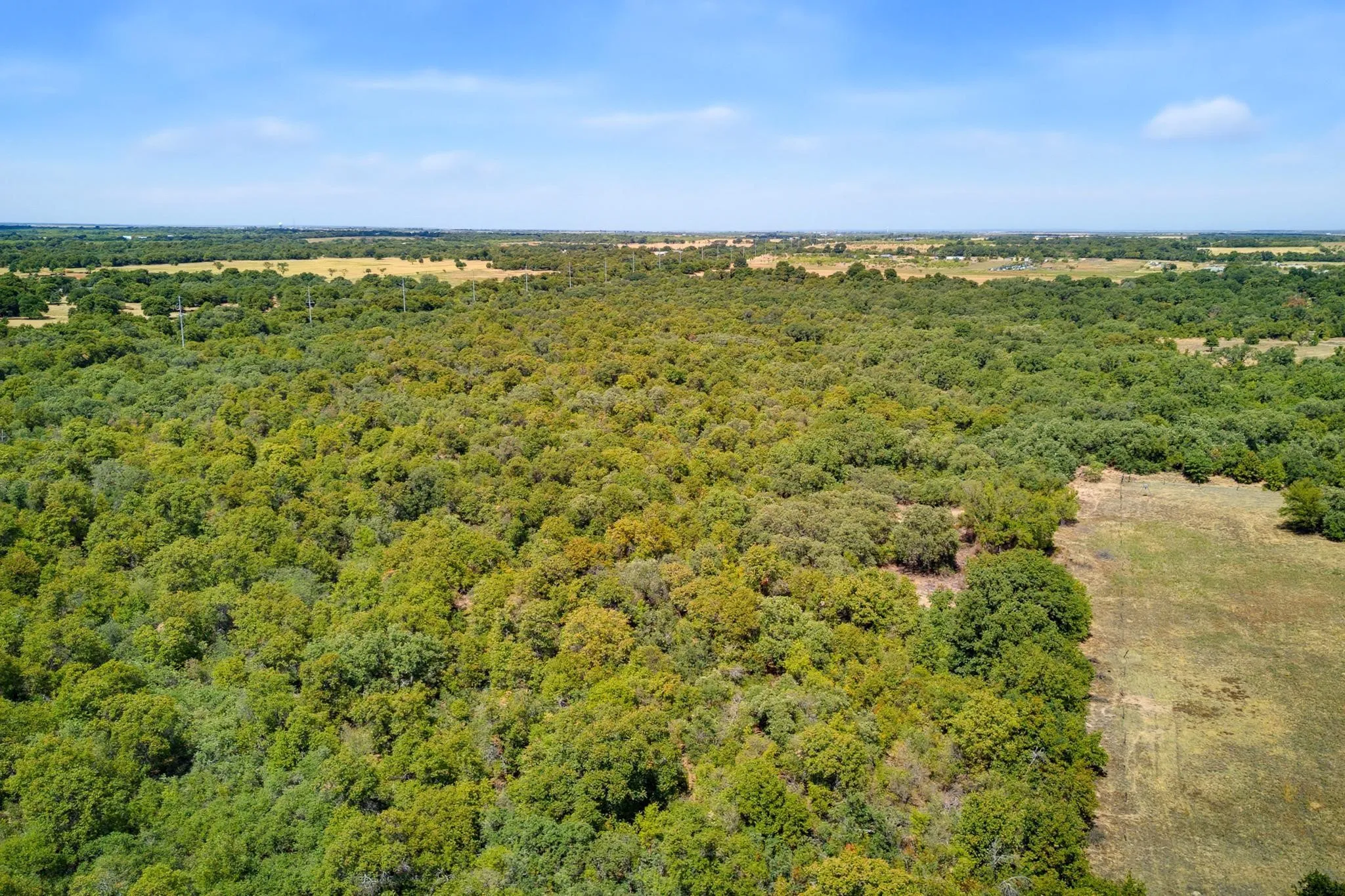 Unimproved Land For Sale in Jones County , 35 AC CR 383, Hawley, Texas 79525, 0, 0, Garage spaces, 0 Sqft, built in 0, mls#21391287, Real Estate Agent in Hawley, Homes For Sale in Jones county, Homes For Sale in Hawley, Realtor in Hawley Texas, Real Estate Brokerage Independent Realty Texas, Luminita Cordes Realtor