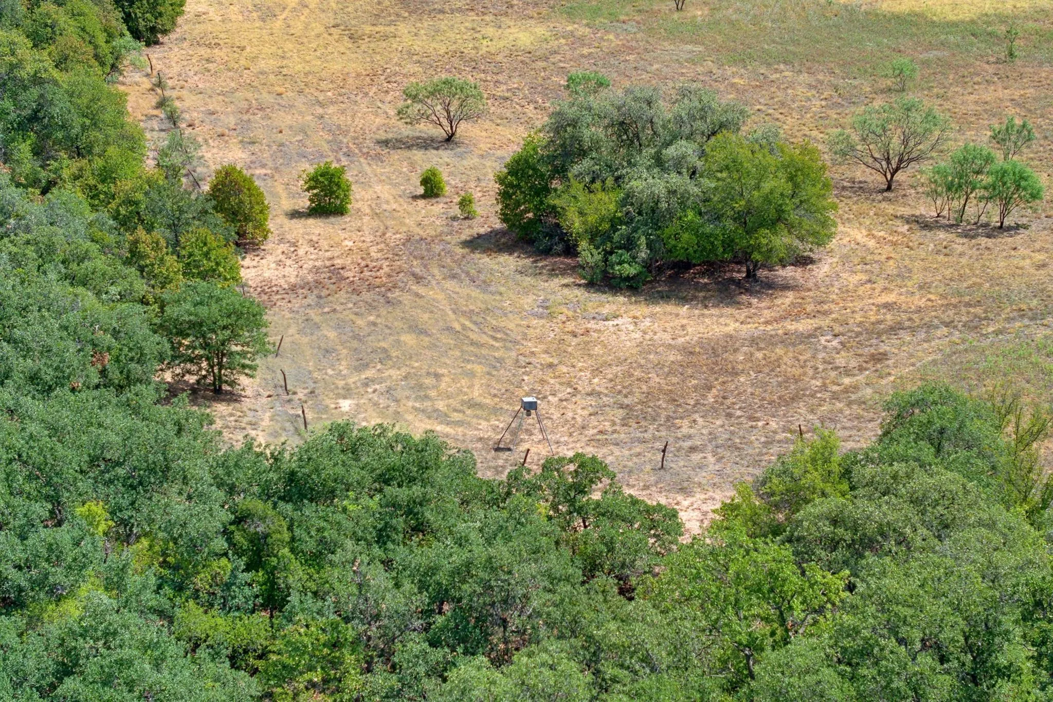 Unimproved Land For Sale in Jones County , 35 AC CR 383, Hawley, Texas 79525, 0, 0, Garage spaces, 0 Sqft, built in 0, mls#21391287, Real Estate Agent in Hawley, Homes For Sale in Jones county, Homes For Sale in Hawley, Realtor in Hawley Texas, Real Estate Brokerage Independent Realty Texas, Luminita Cordes Realtor