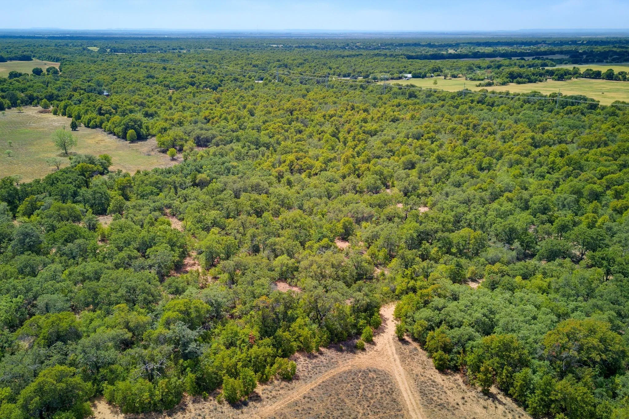 Unimproved Land For Sale in Jones County , 35 AC CR 383, Hawley, Texas 79525, 0, 0, Garage spaces, 0 Sqft, built in 0, mls#21391287, Real Estate Agent in Hawley, Homes For Sale in Jones county, Homes For Sale in Hawley, Realtor in Hawley Texas, Real Estate Brokerage Independent Realty Texas, Luminita Cordes Realtor