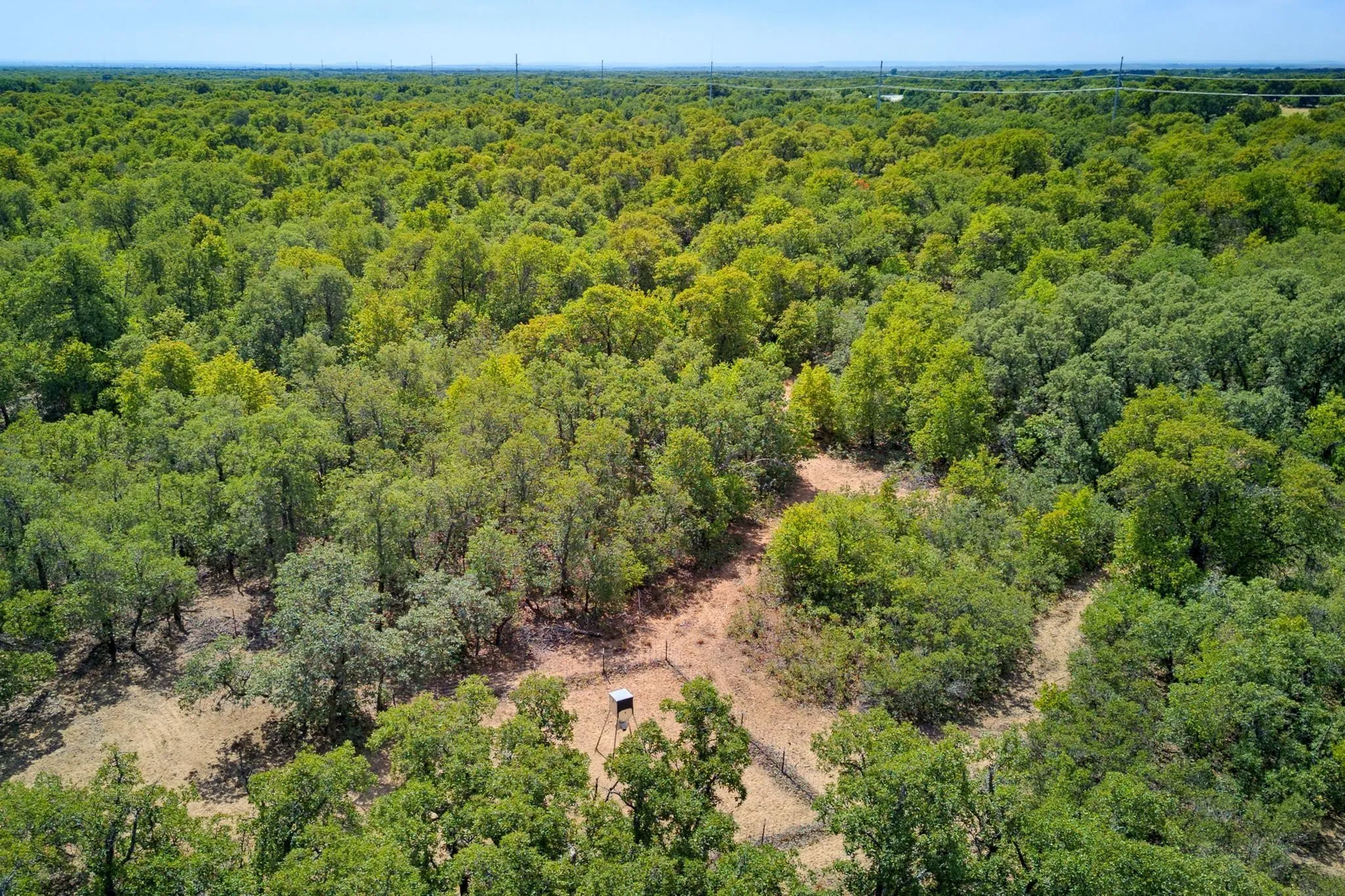 Unimproved Land For Sale in Jones County , 35 AC CR 383, Hawley, Texas 79525, 0, 0, Garage spaces, 0 Sqft, built in 0, mls#21391287, Real Estate Agent in Hawley, Homes For Sale in Jones county, Homes For Sale in Hawley, Realtor in Hawley Texas, Real Estate Brokerage Independent Realty Texas, Luminita Cordes Realtor