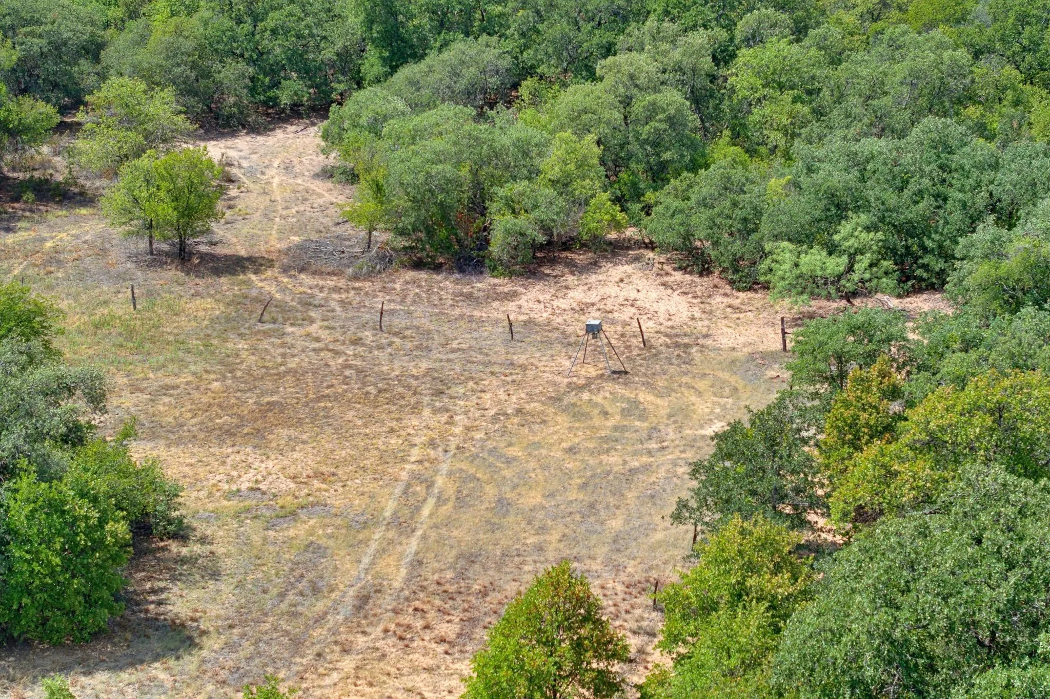 Unimproved Land For Sale in Jones County , 35 AC CR 383, Hawley, Texas 79525, 0, 0, Garage spaces, 0 Sqft, built in 0, mls#21391287, Real Estate Agent in Hawley, Homes For Sale in Jones county, Homes For Sale in Hawley, Realtor in Hawley Texas, Real Estate Brokerage Independent Realty Texas, Luminita Cordes Realtor